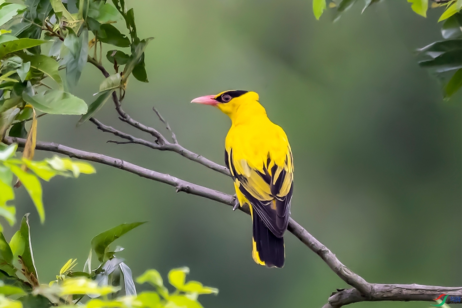 DSC_6159 .jpg