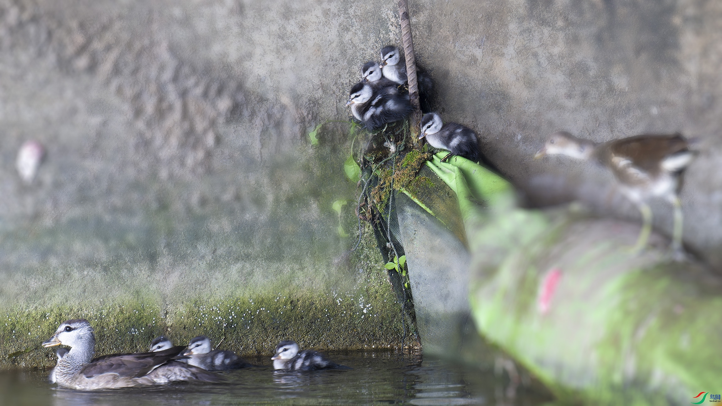 DSC_4289_DxO1.jpg