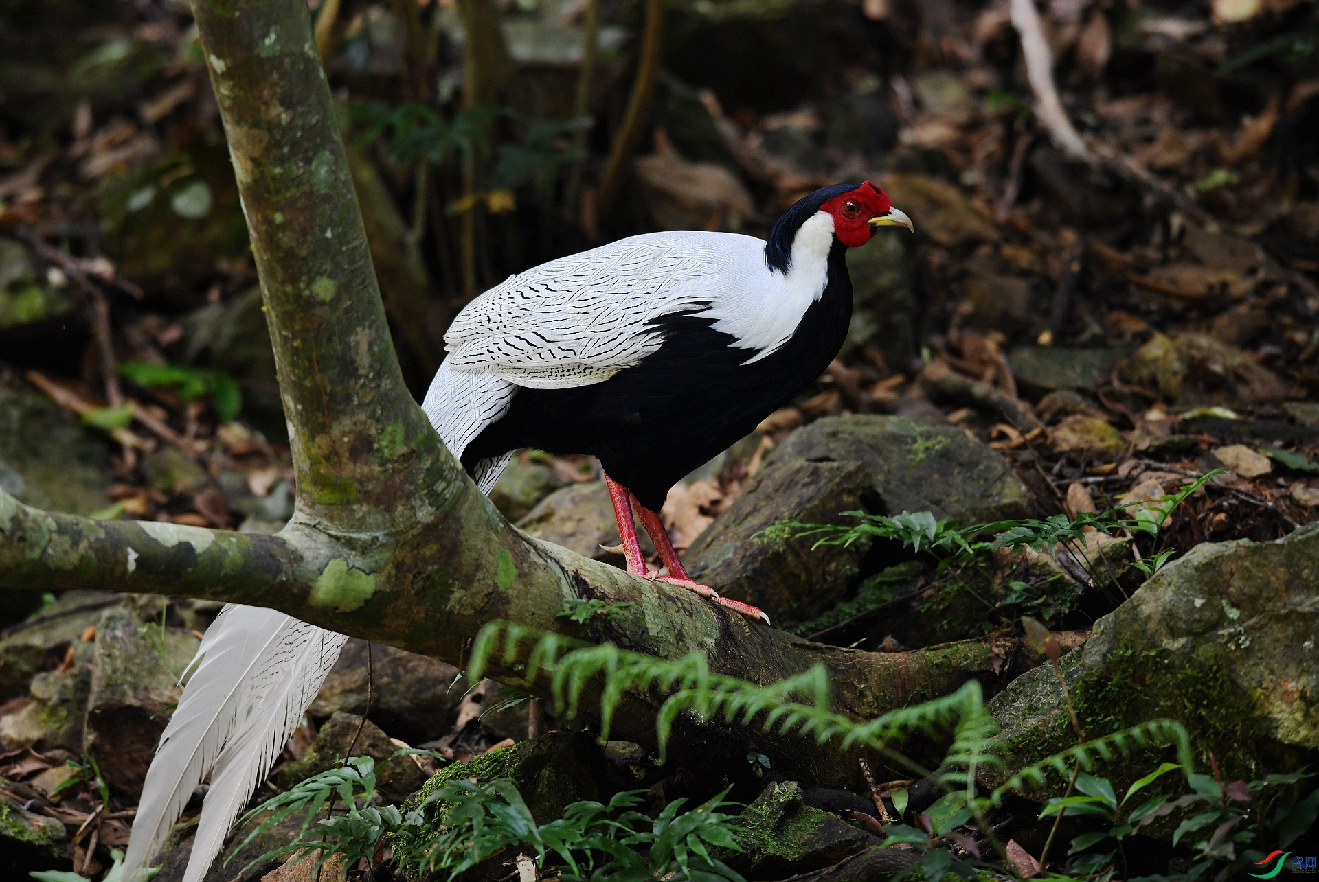 DSC_1876.jpg