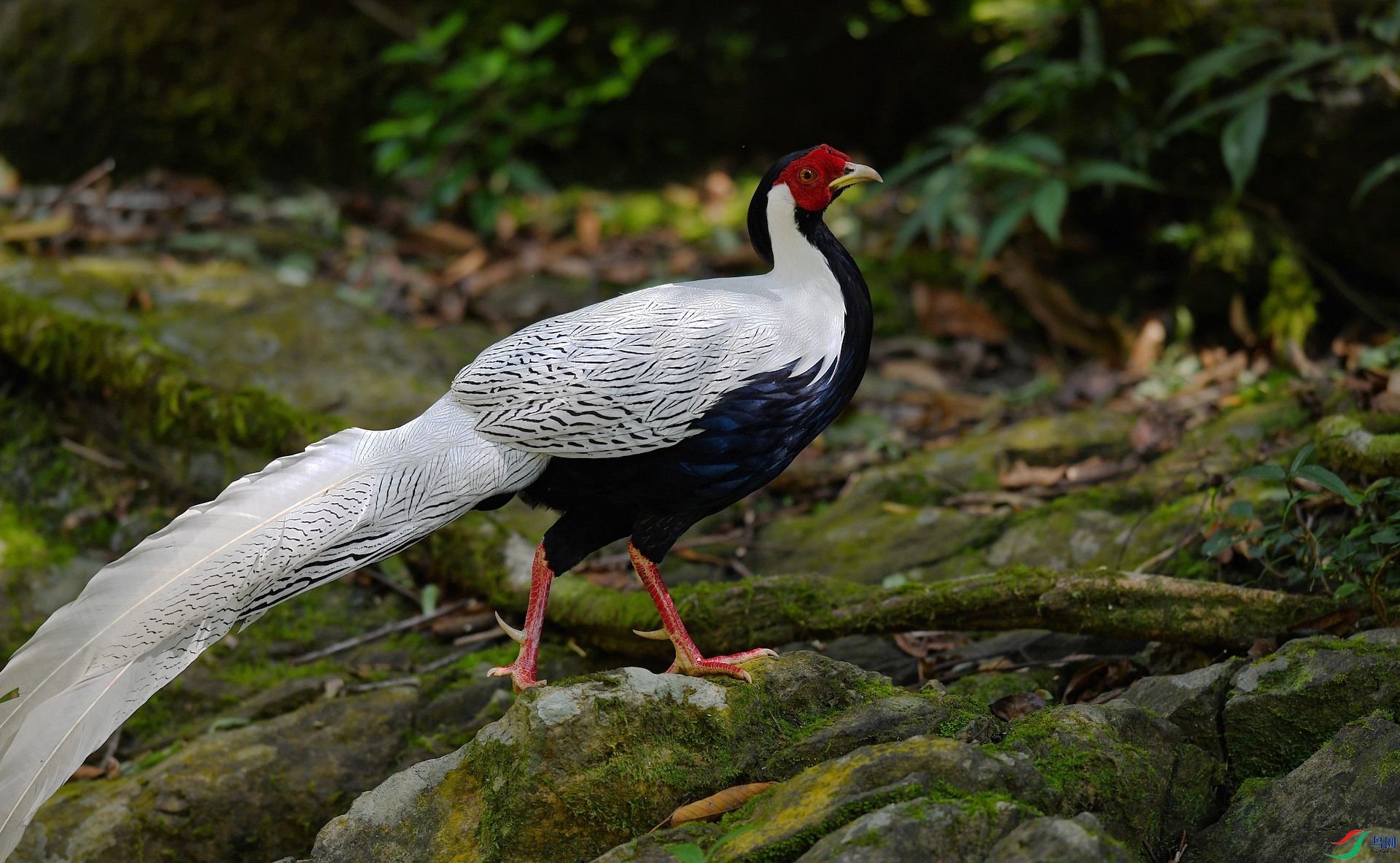 DSC_1791.jpg