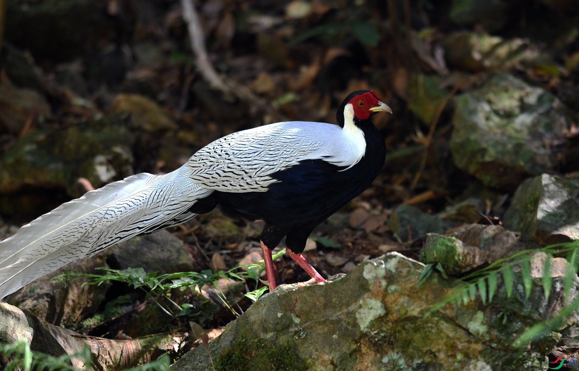 DSC_1829.jpg