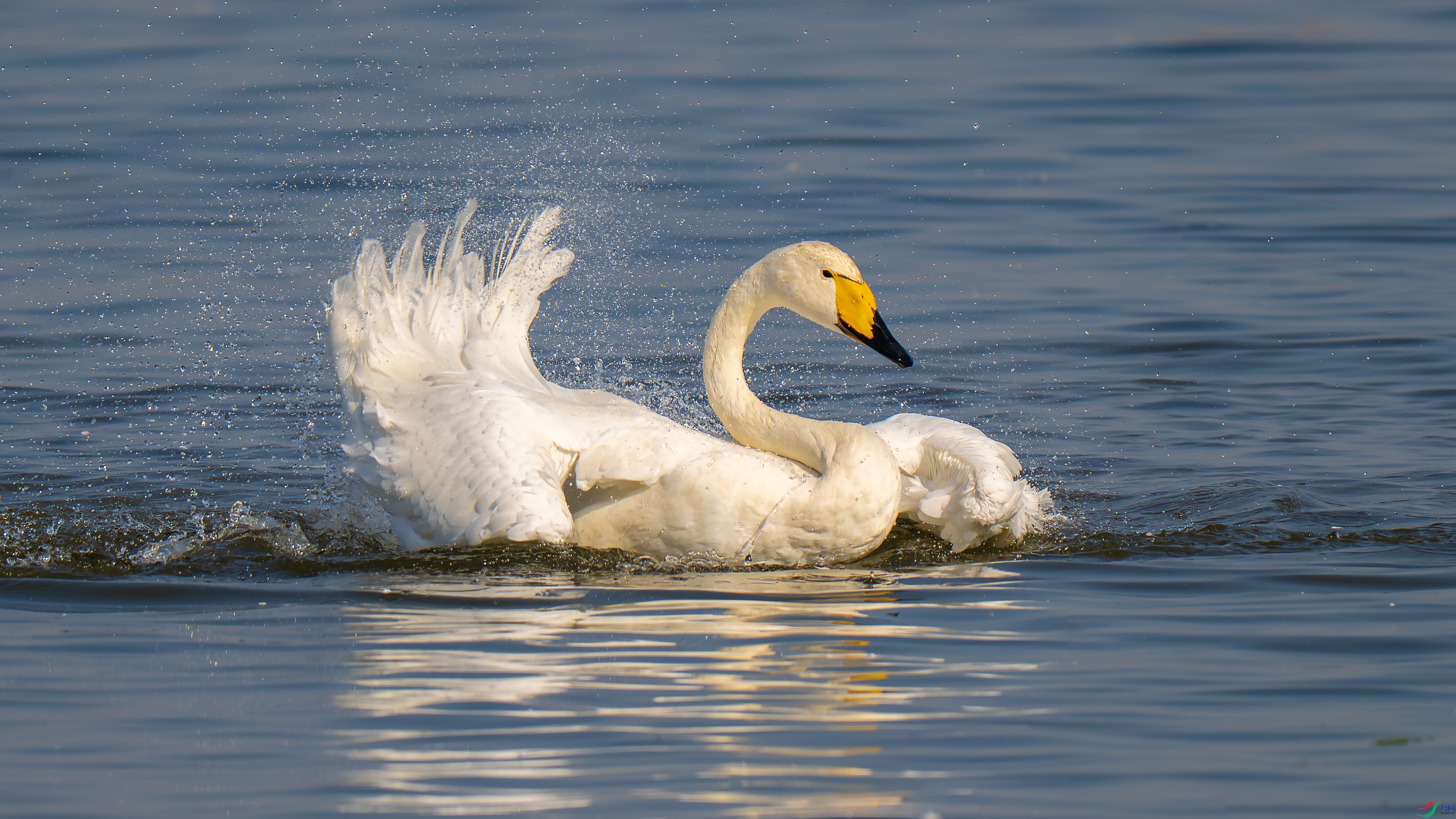 DSC_7765.jpg
