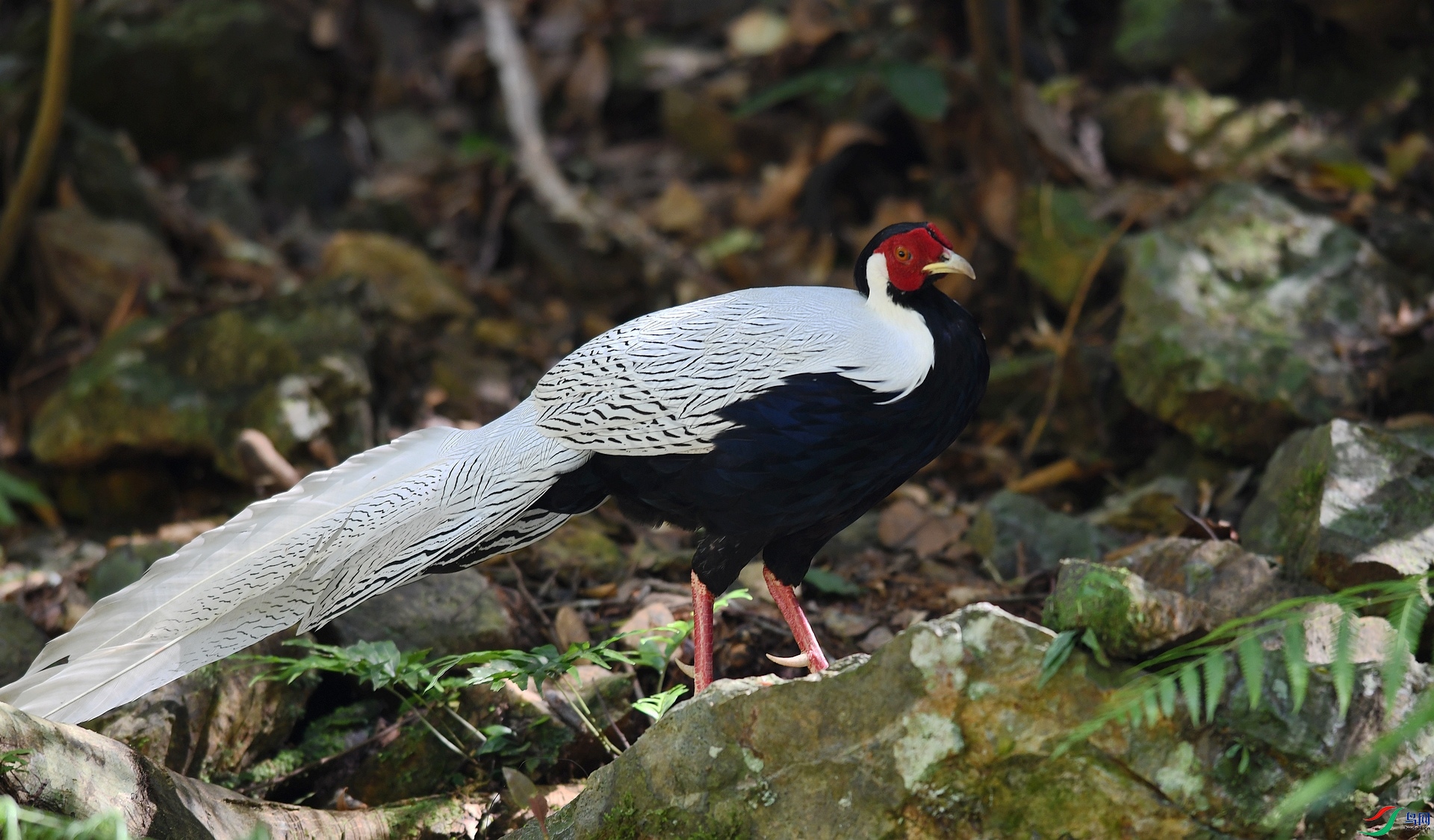 DSC_1830.jpg