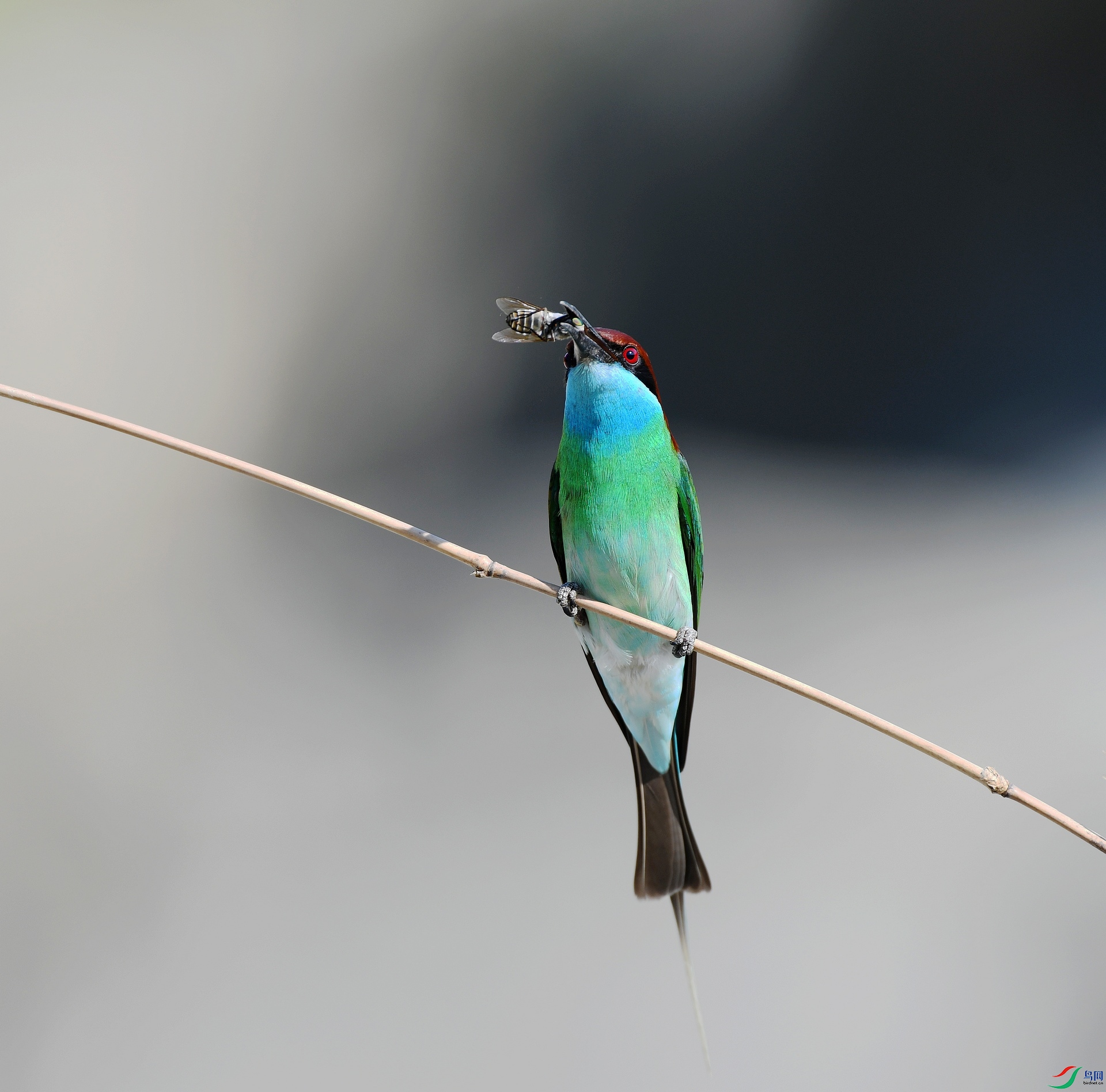 DSC_1679.jpg
