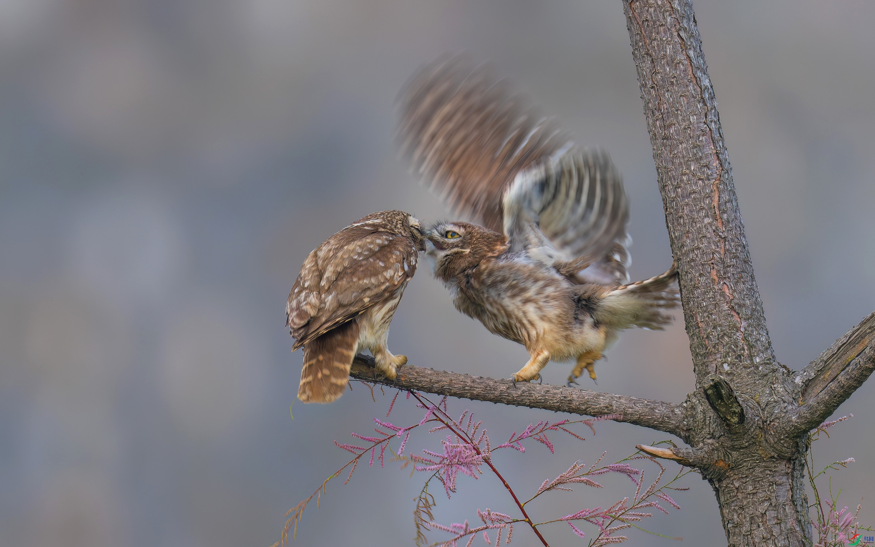 DSC_1387.jpg
