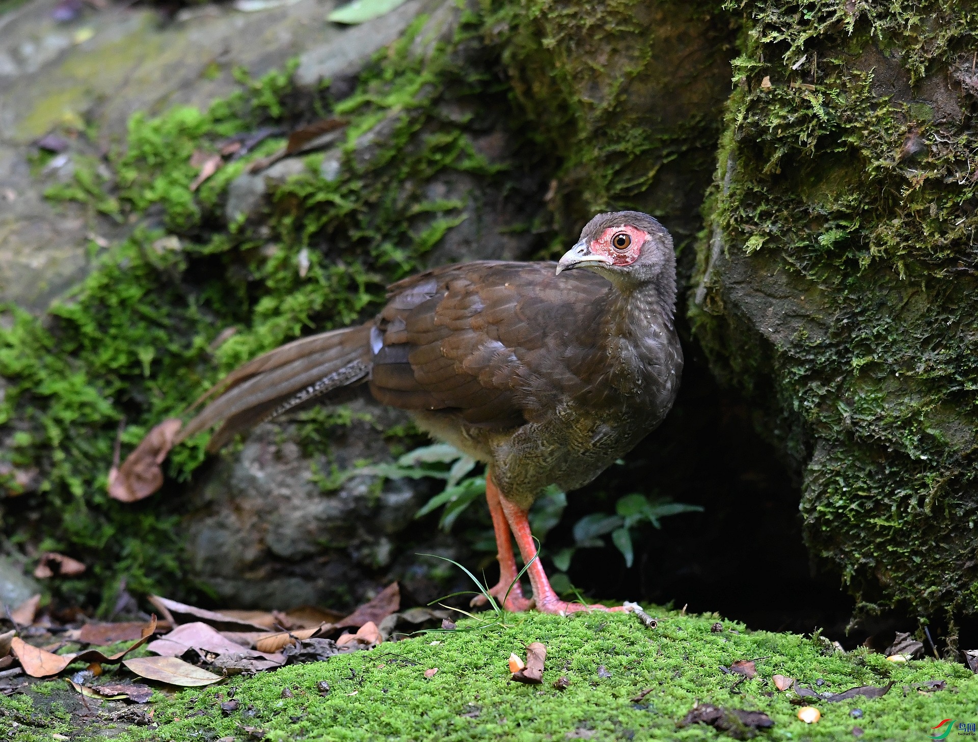 DSC_2798.jpg