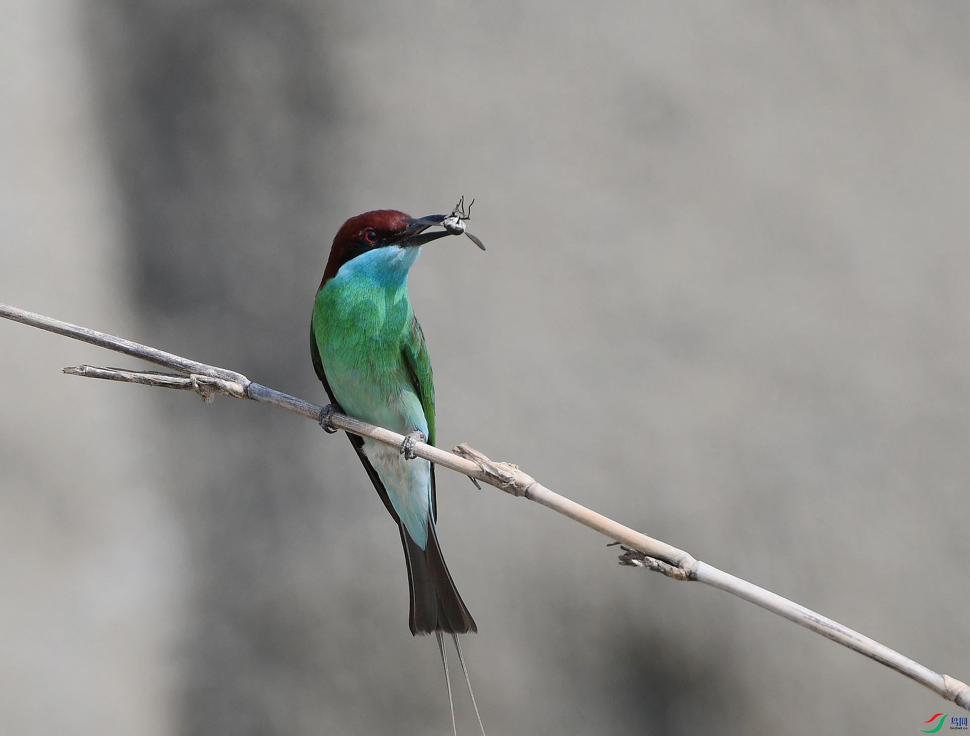 DSC_2023.jpg