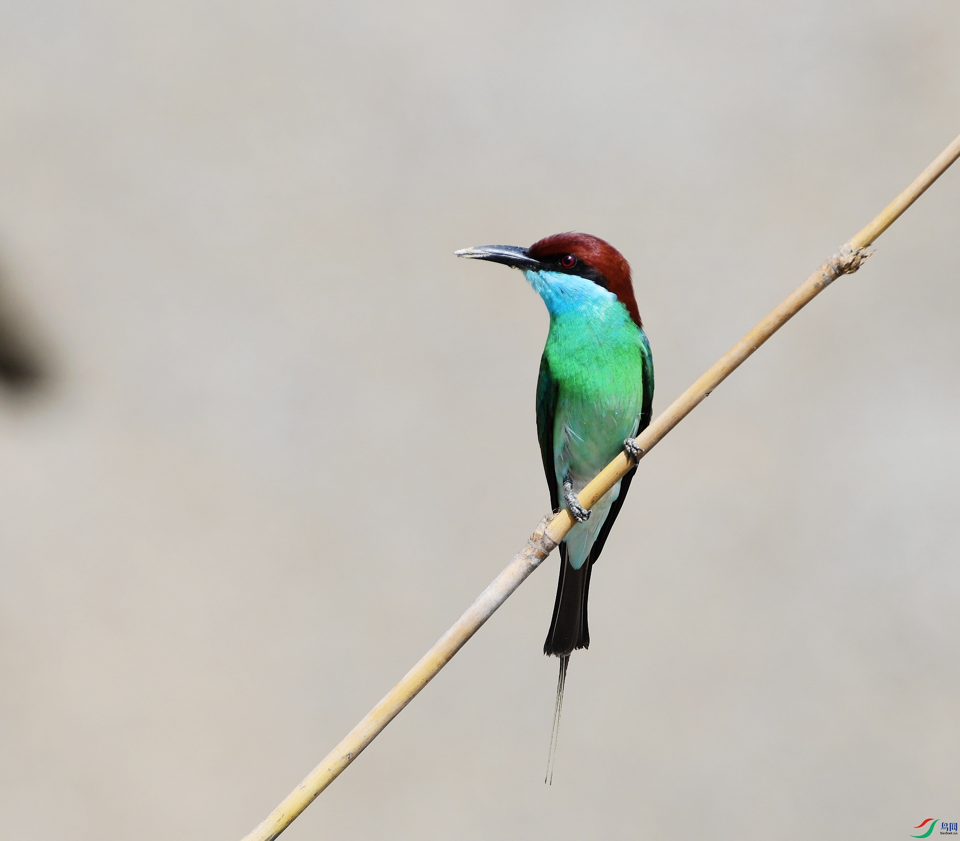 DSC_2073.jpg