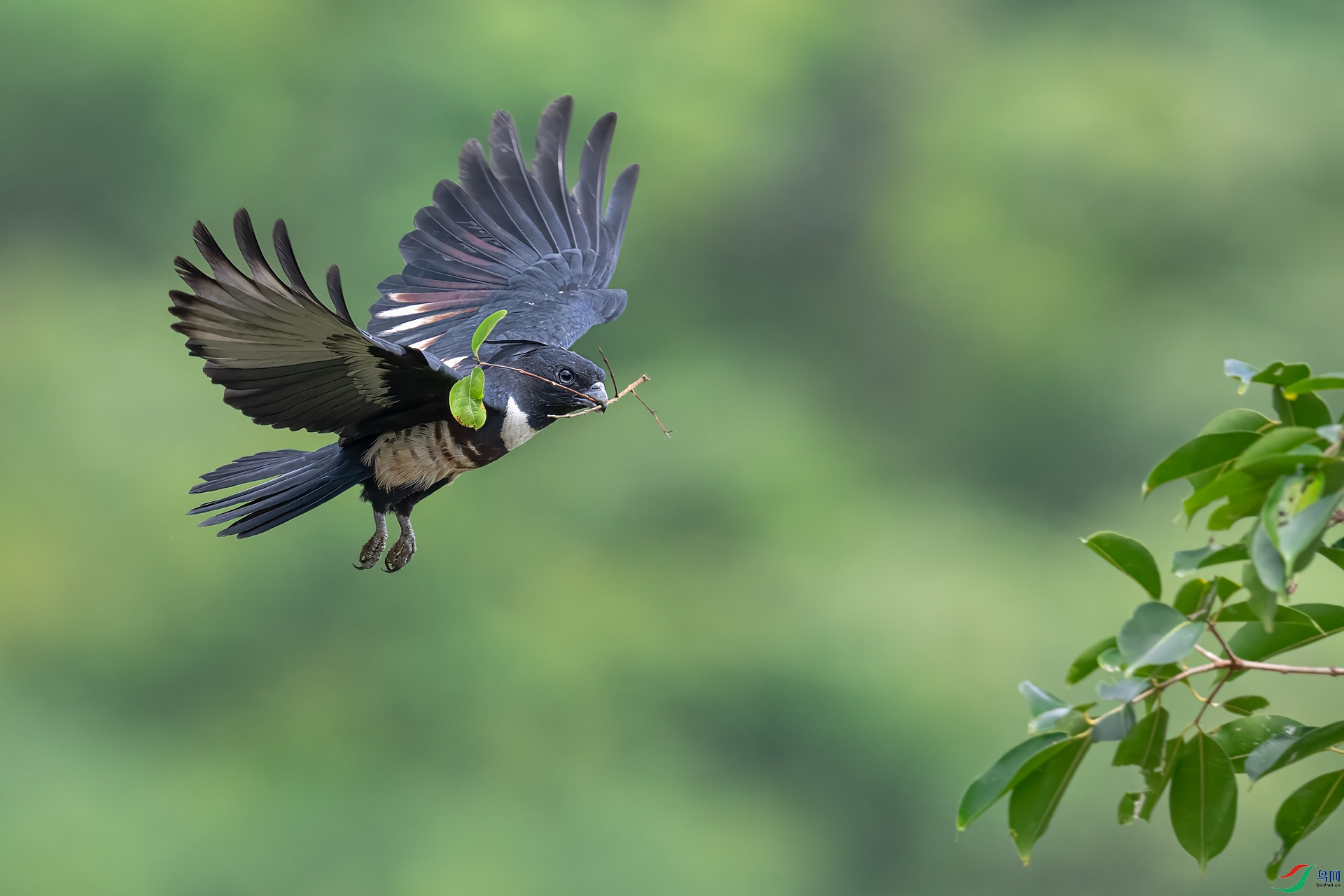 DSC_7976.jpg