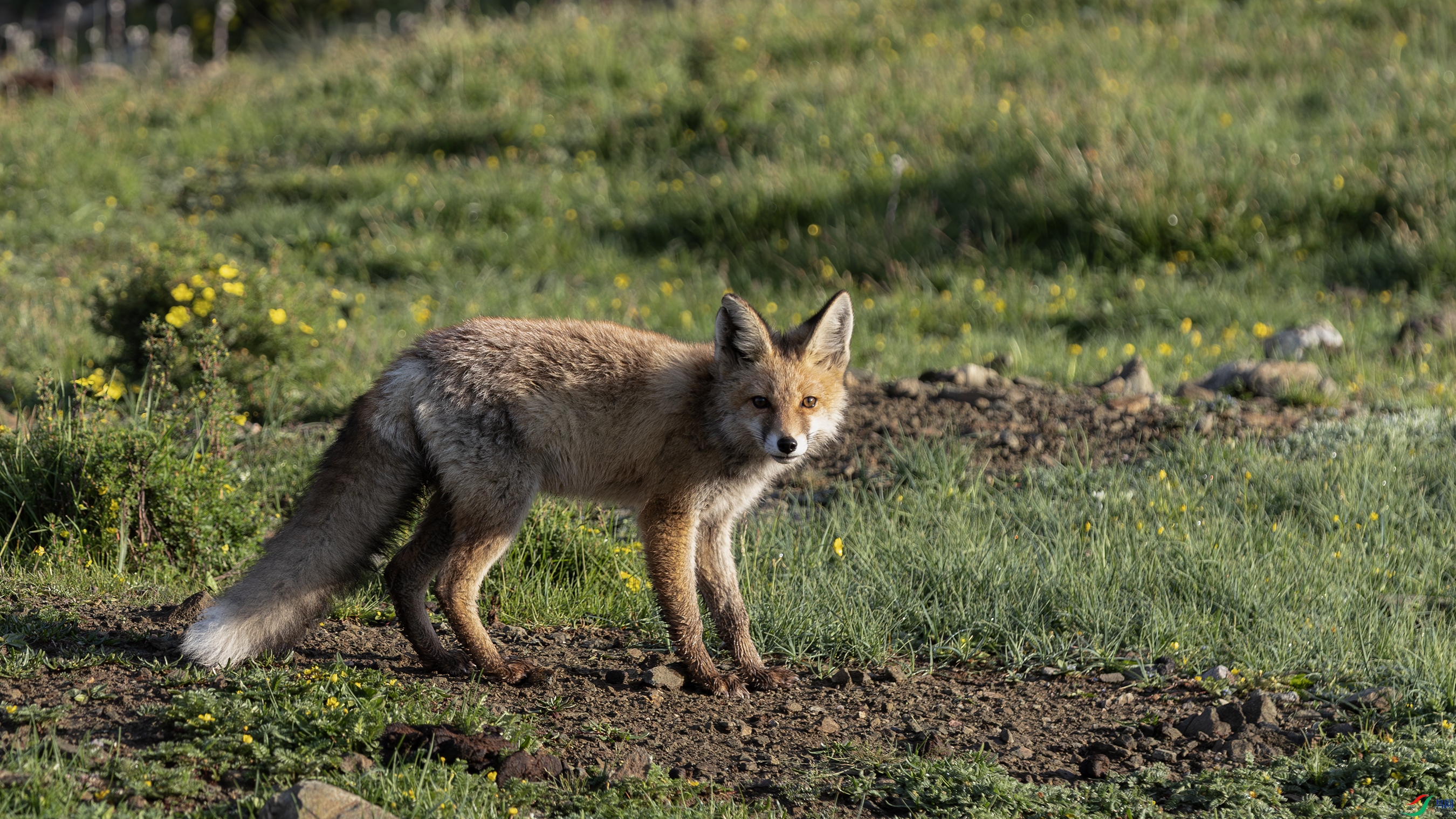 7X5A7953 --22.jpg