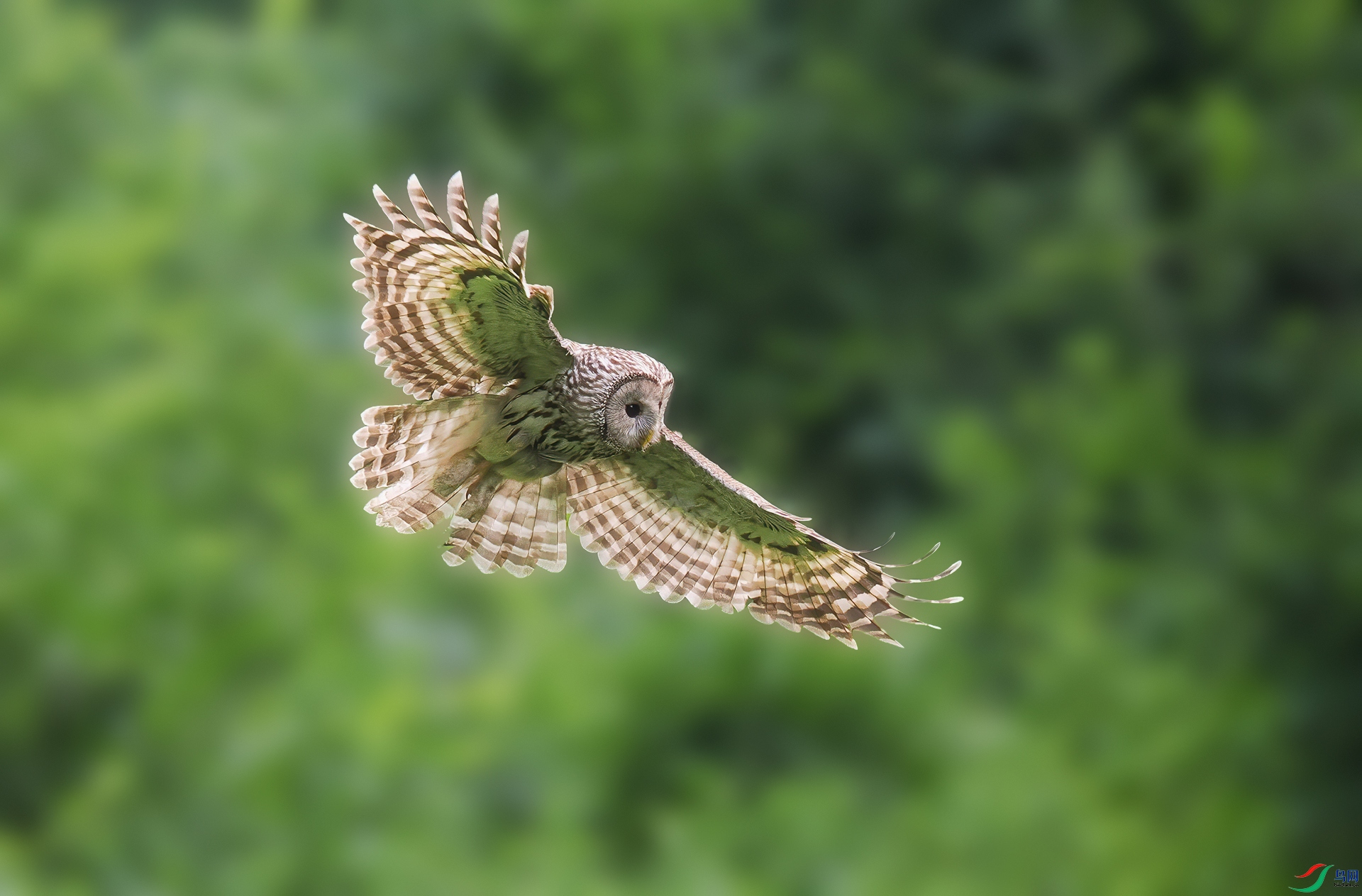 P6210670.jpg