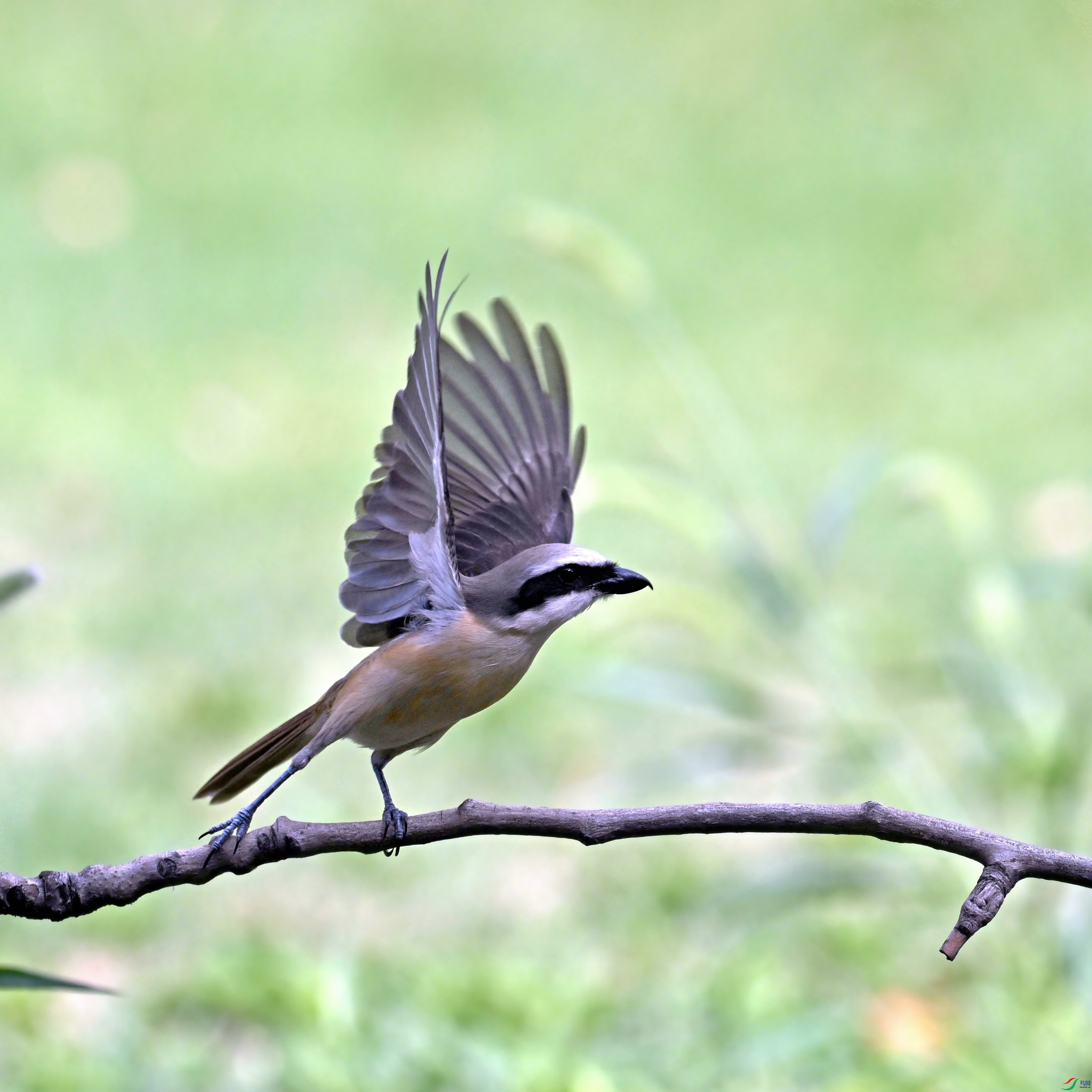 DSC_8496.JPG