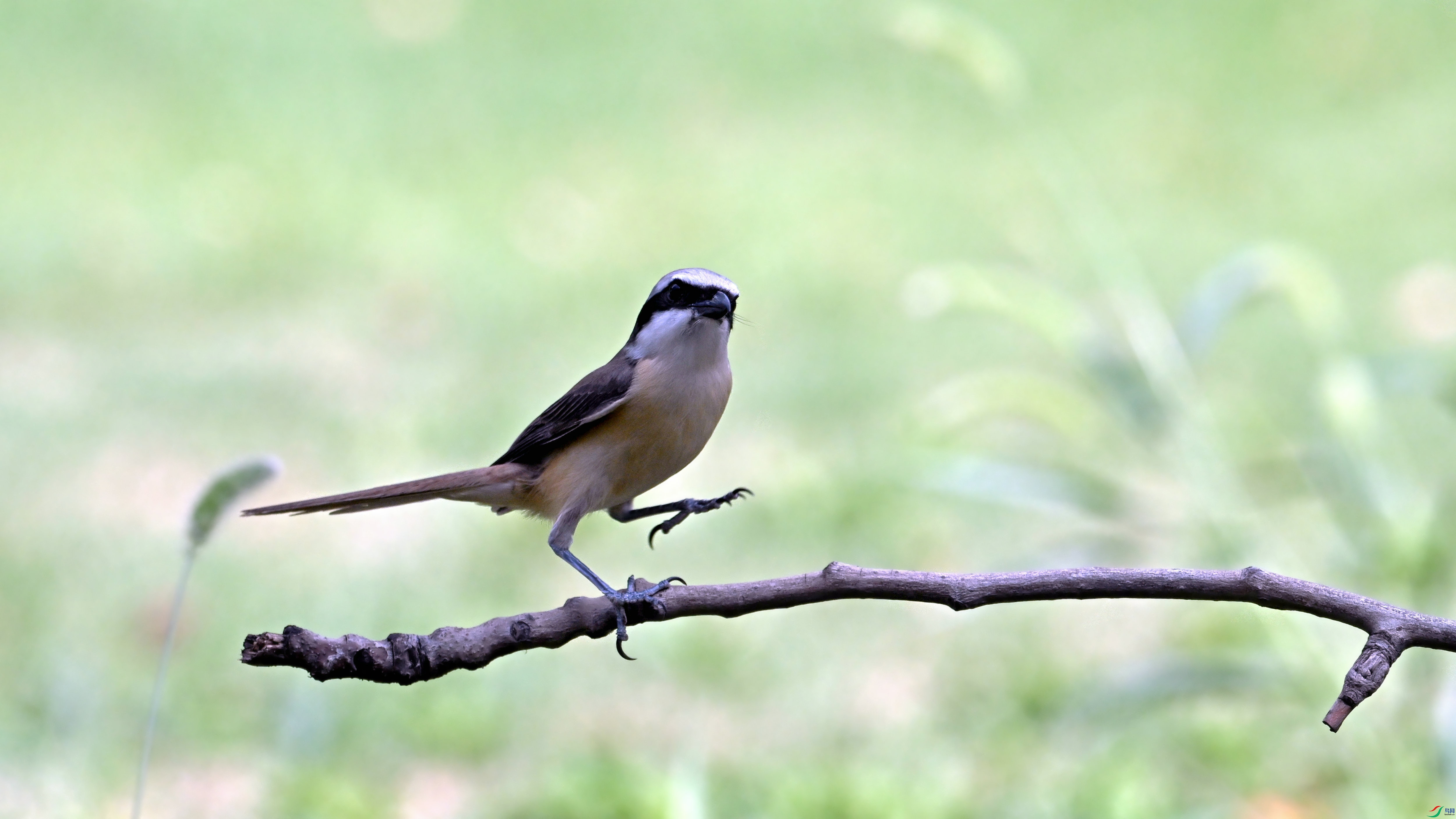 DSC_8378.JPG