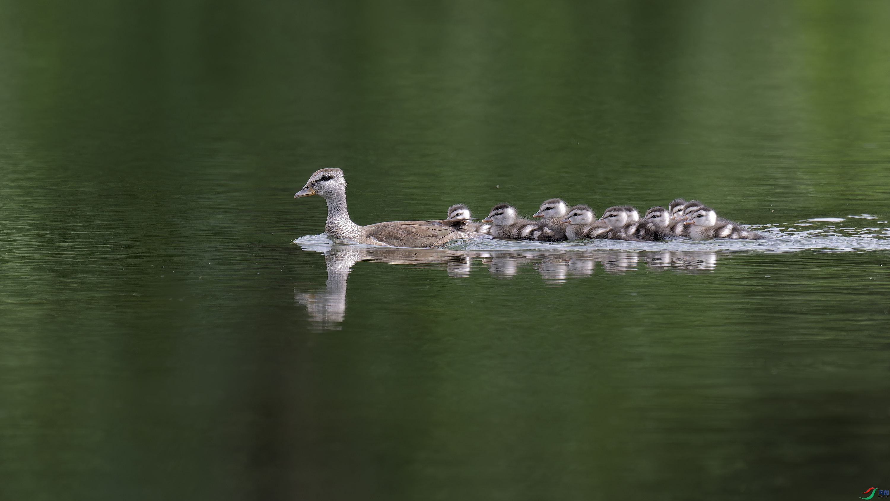 DSC_6104_DxO.jpg