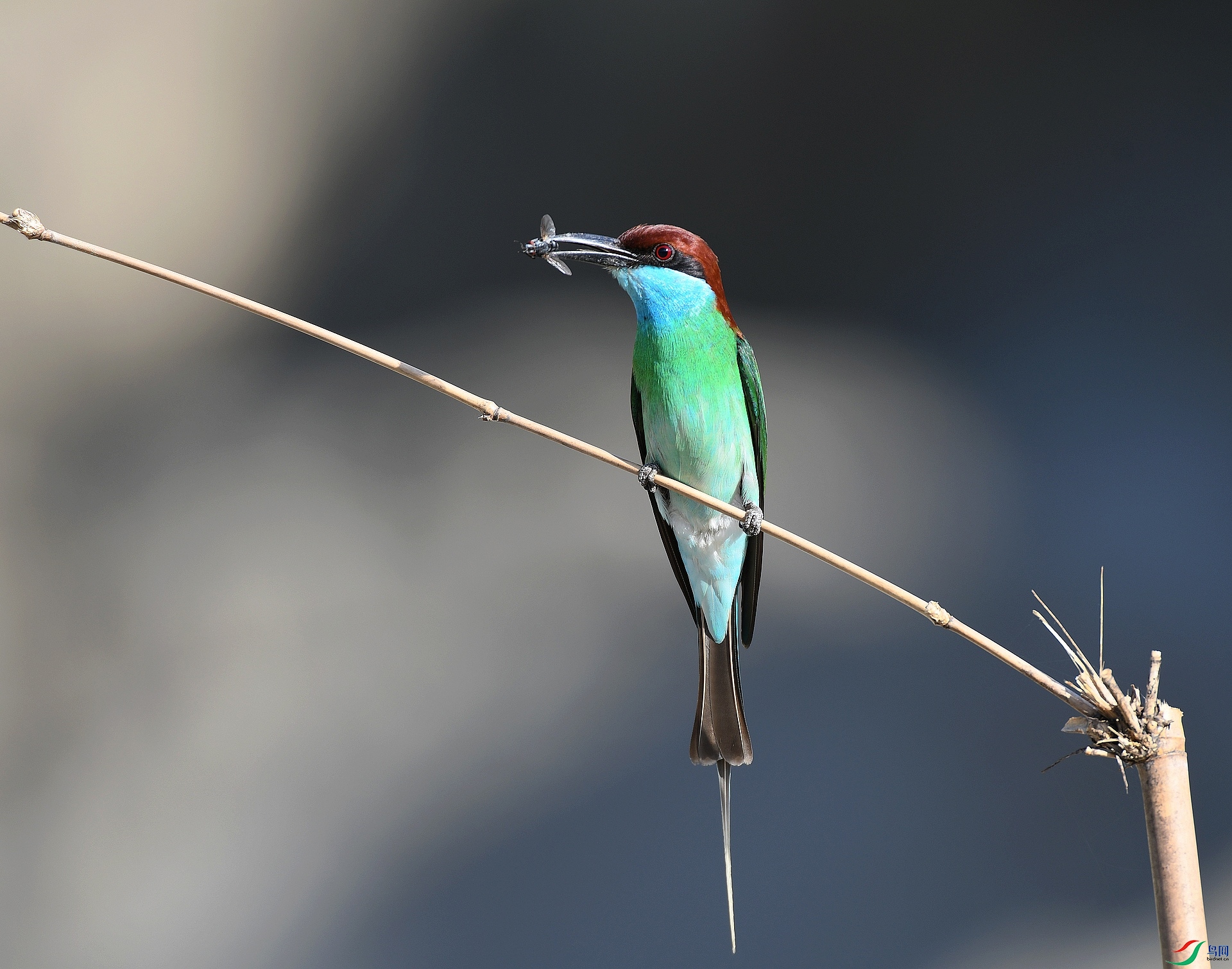 DSC_1351.jpg
