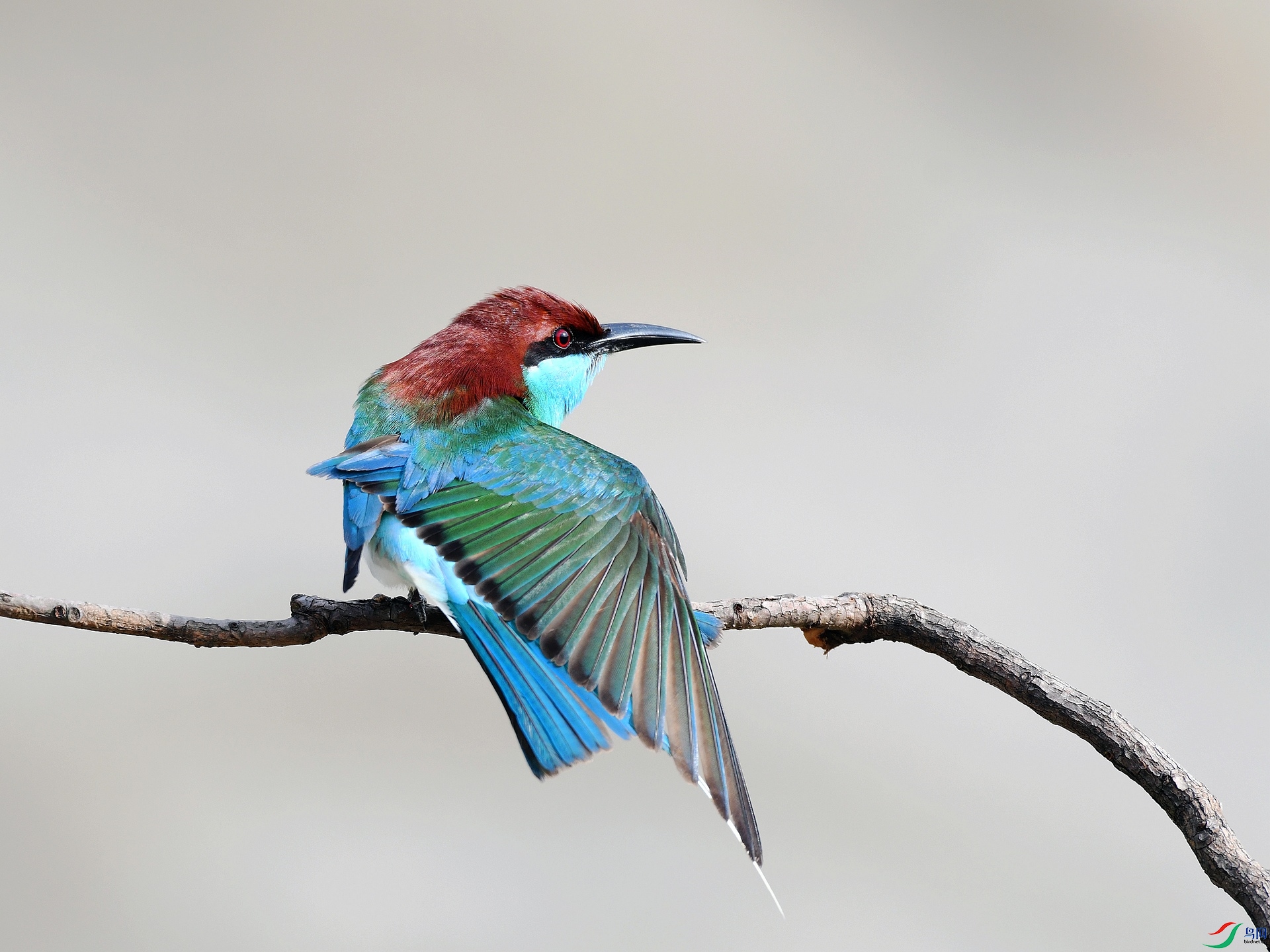 DSC_3269.jpg