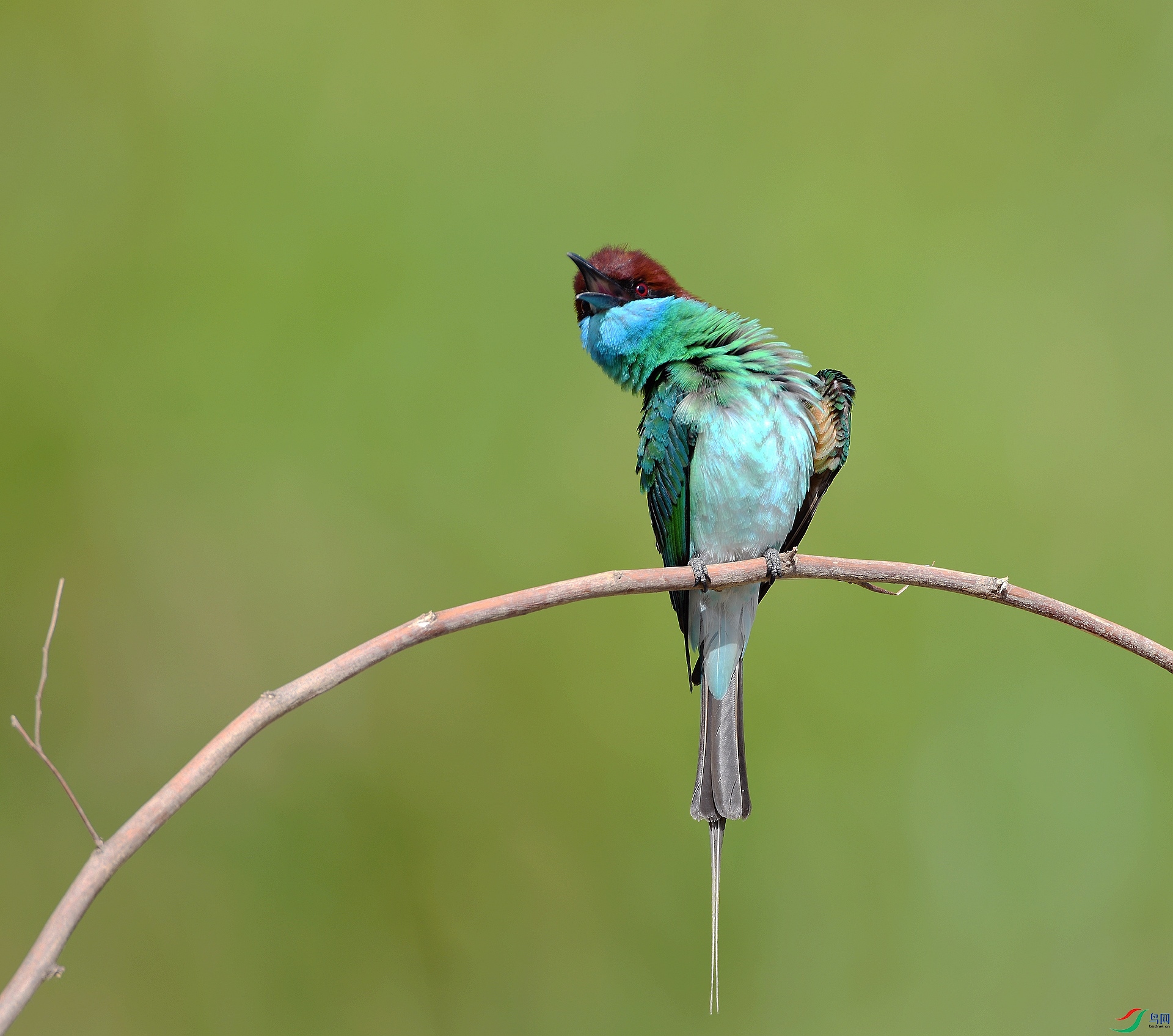 DSC_3731.jpg