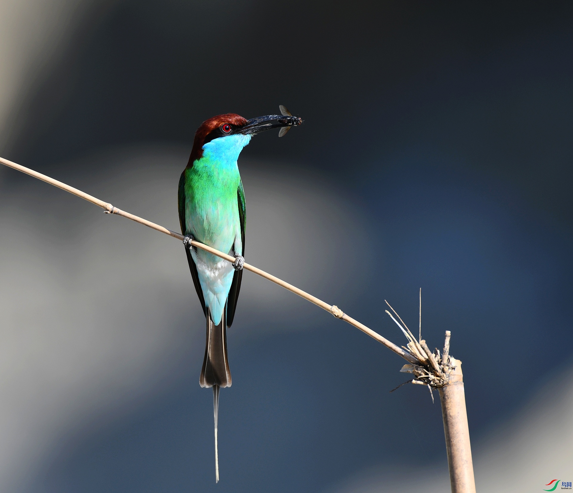 DSC_1349.jpg