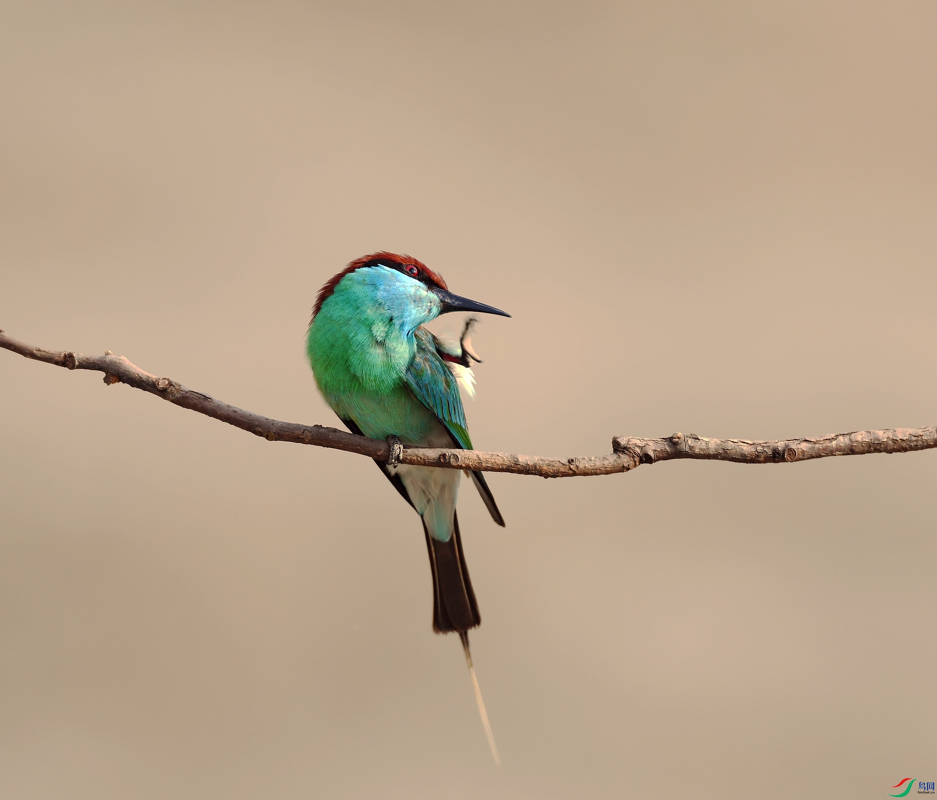 DSC_3163.jpg
