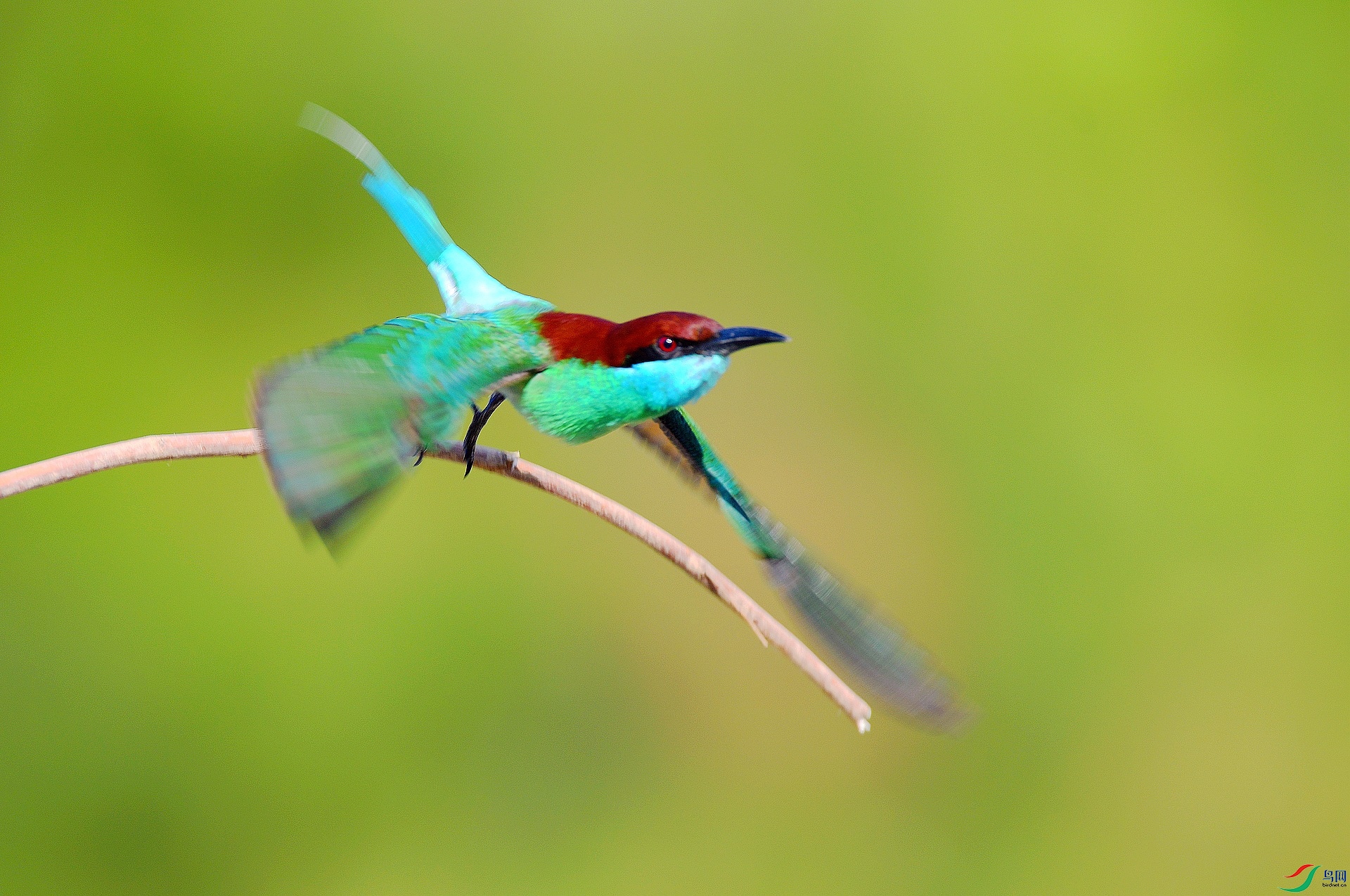 DSC_1473.jpg