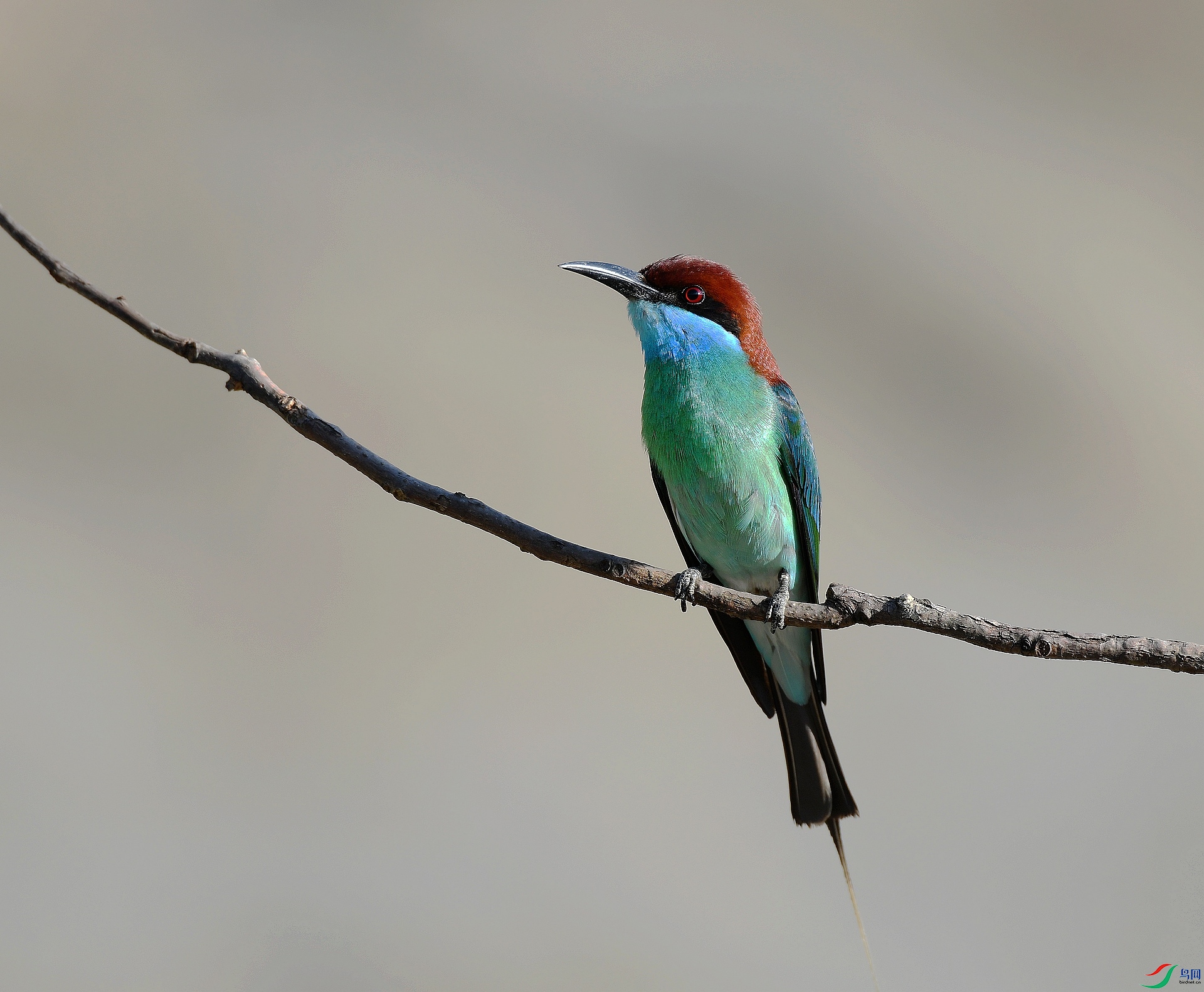 DSC_1103.jpg
