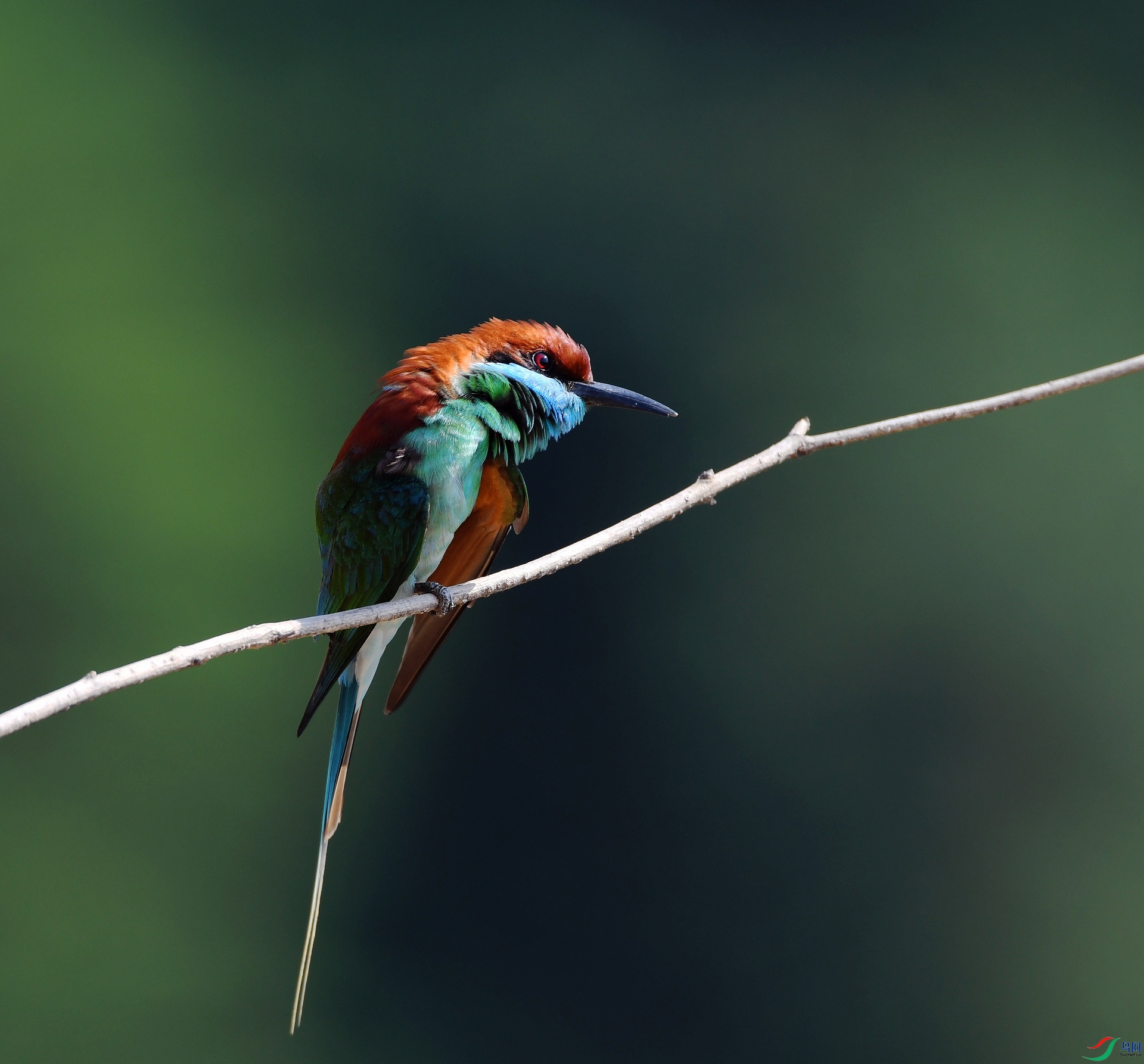 DSC_1458.jpg
