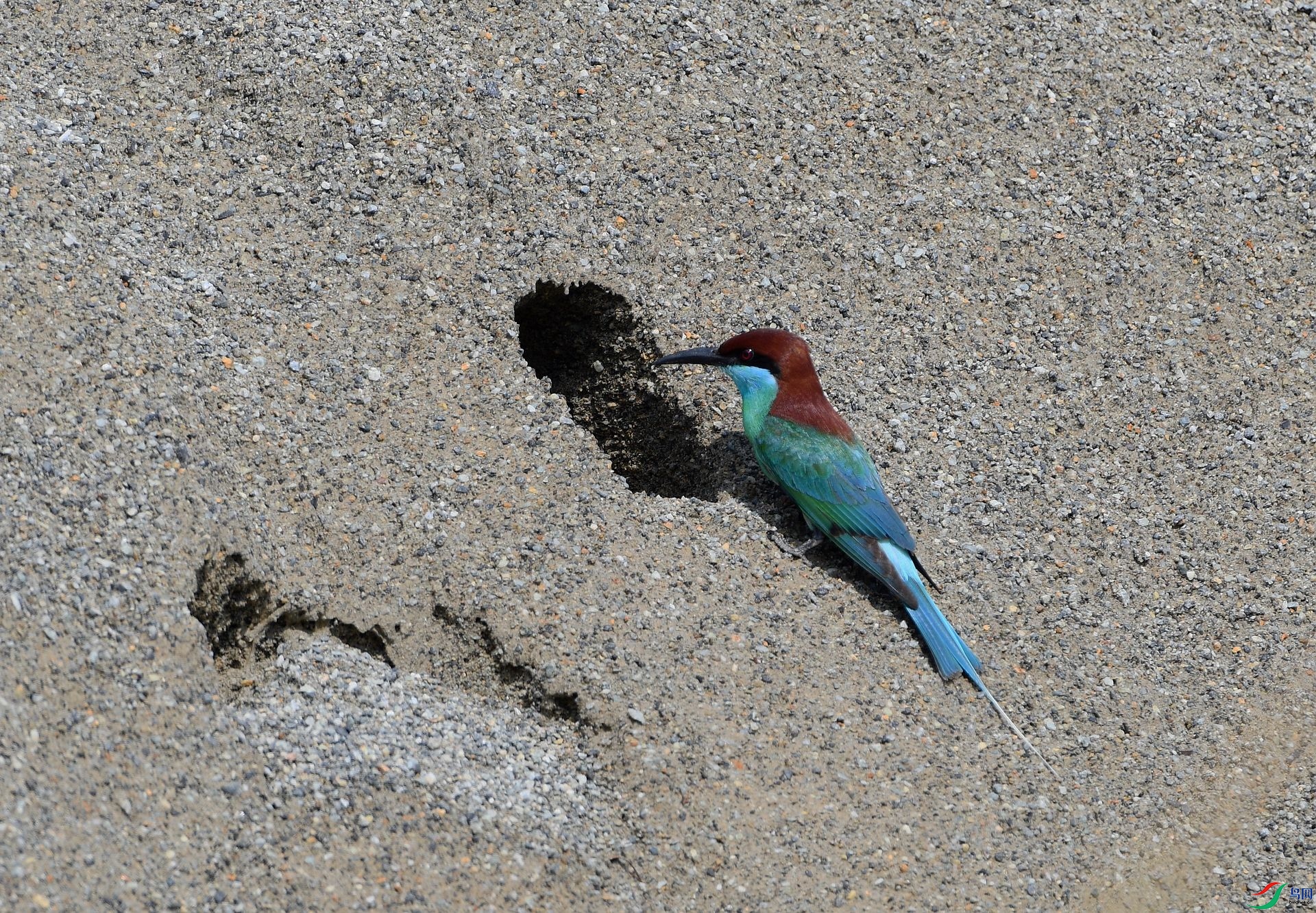 DSC_1996.jpg