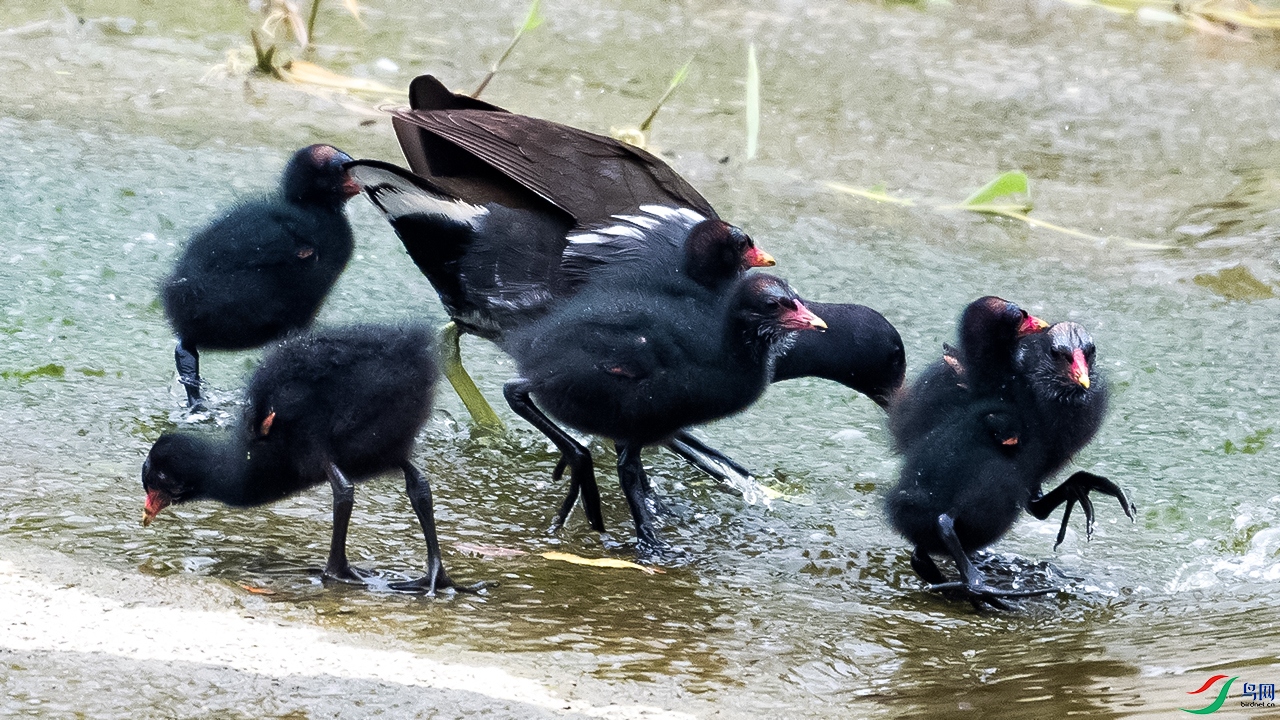 DSC_1473=.jpg