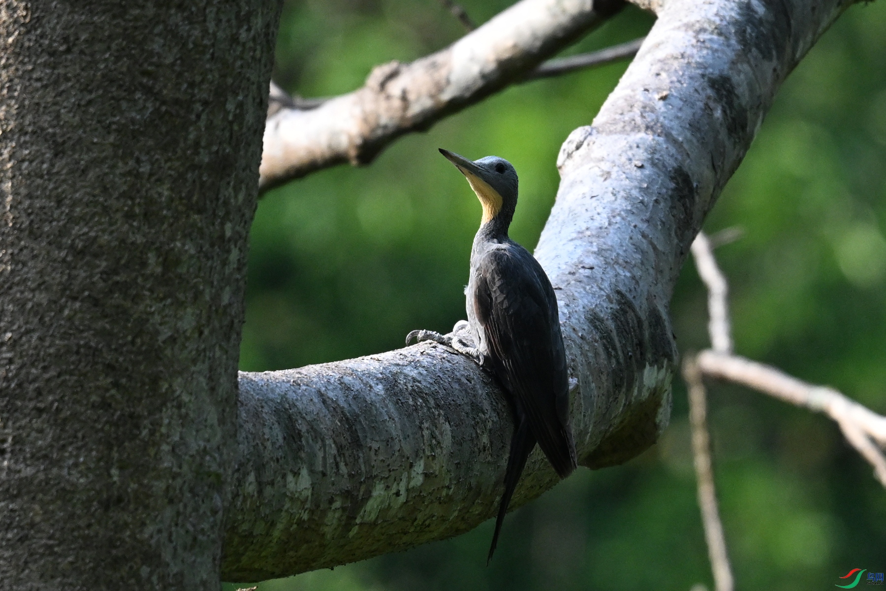 DSC_5295.JPG