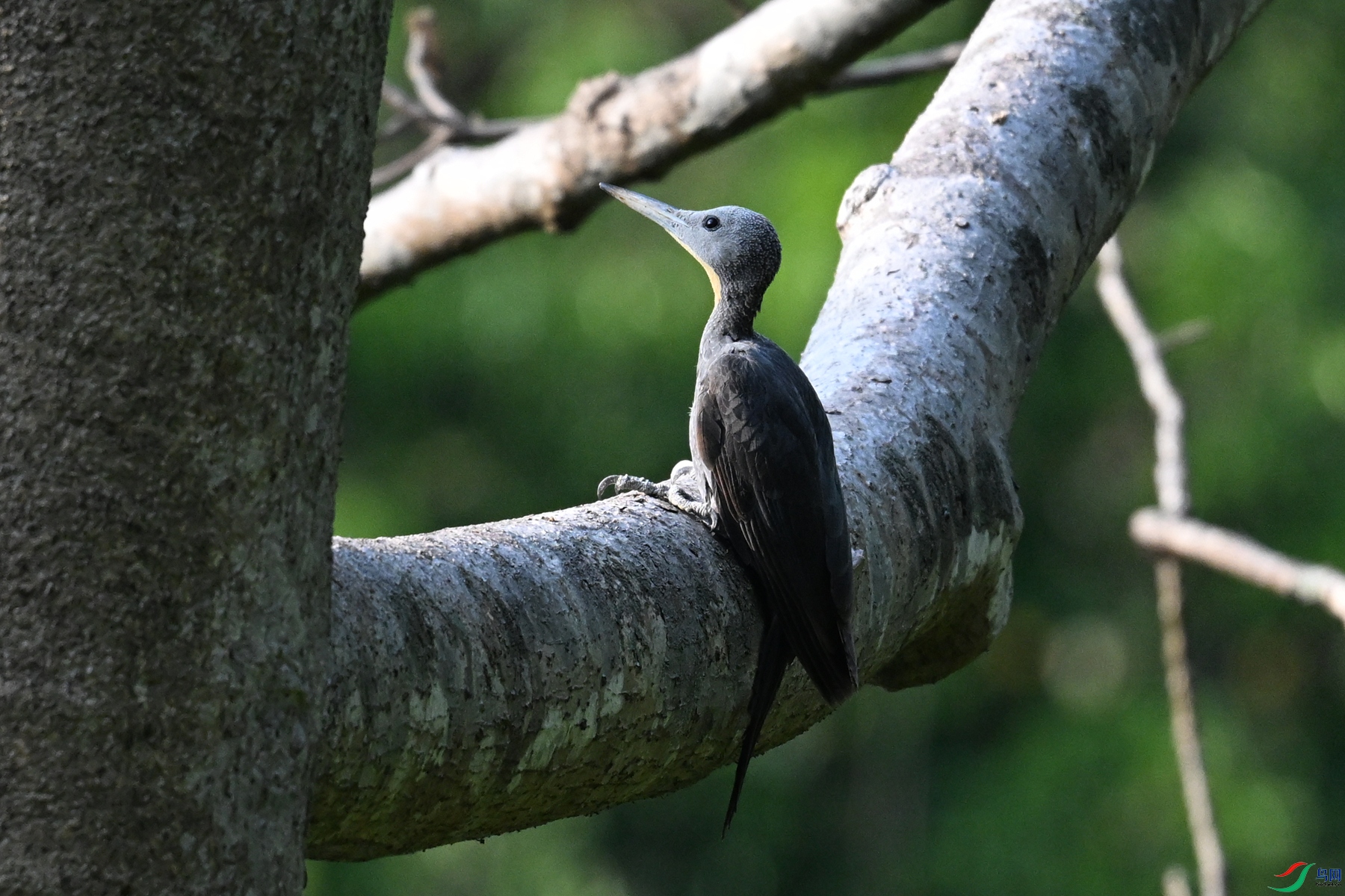 DSC_5292.JPG