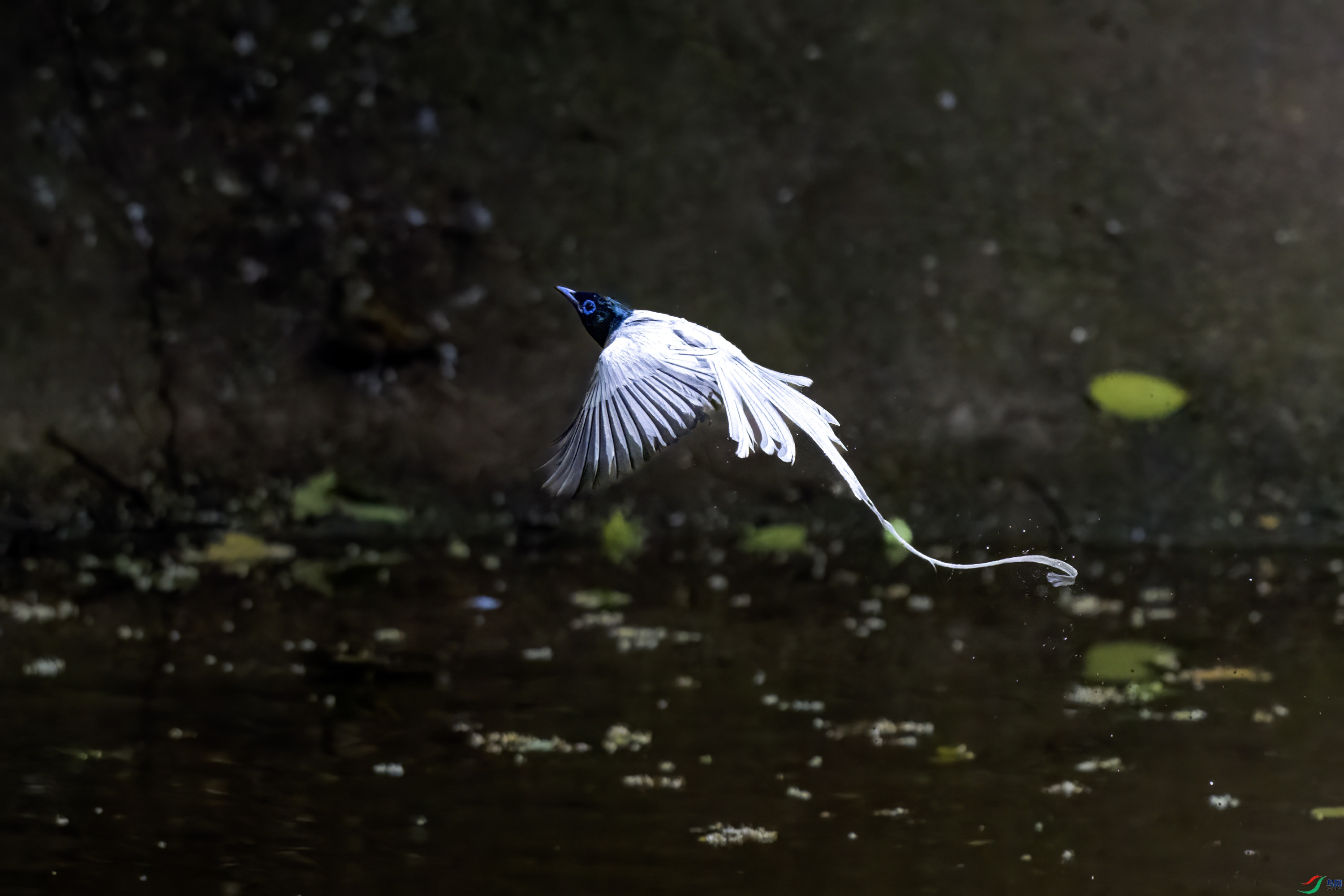 DSC_2053.jpg