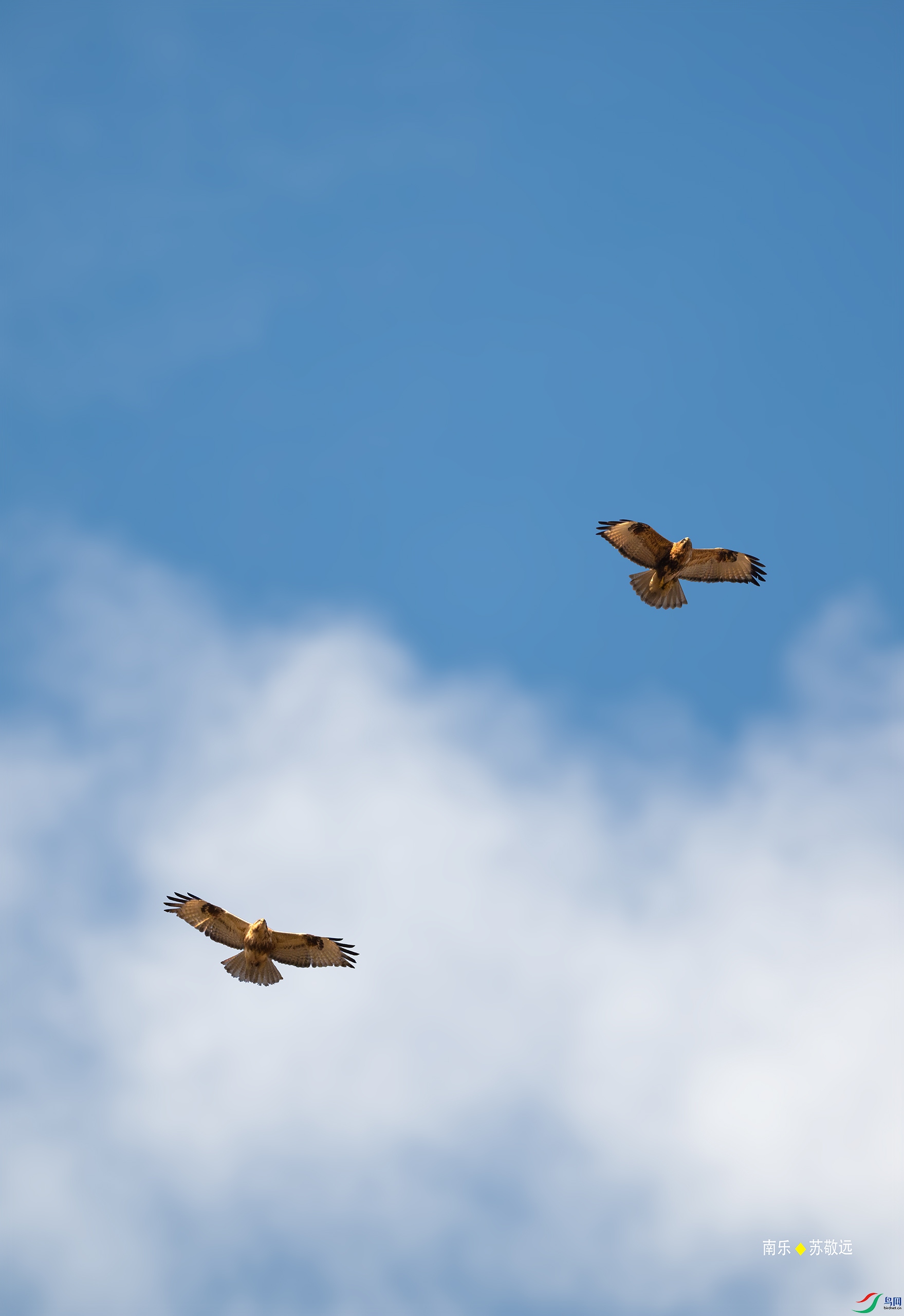 _DSC2076-DxO_С.jpg