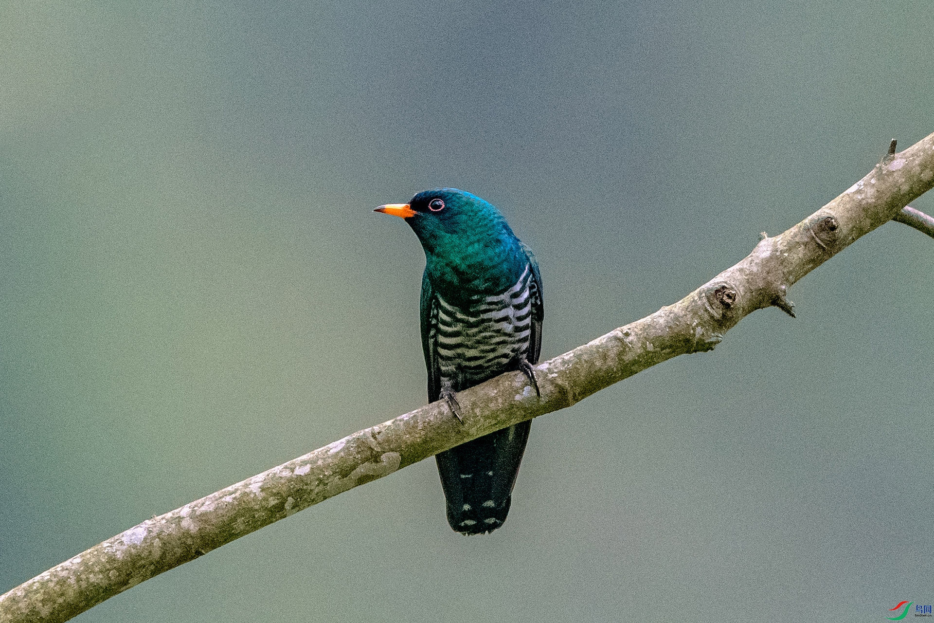 _AUU4560 ����(26.4.28).jpg