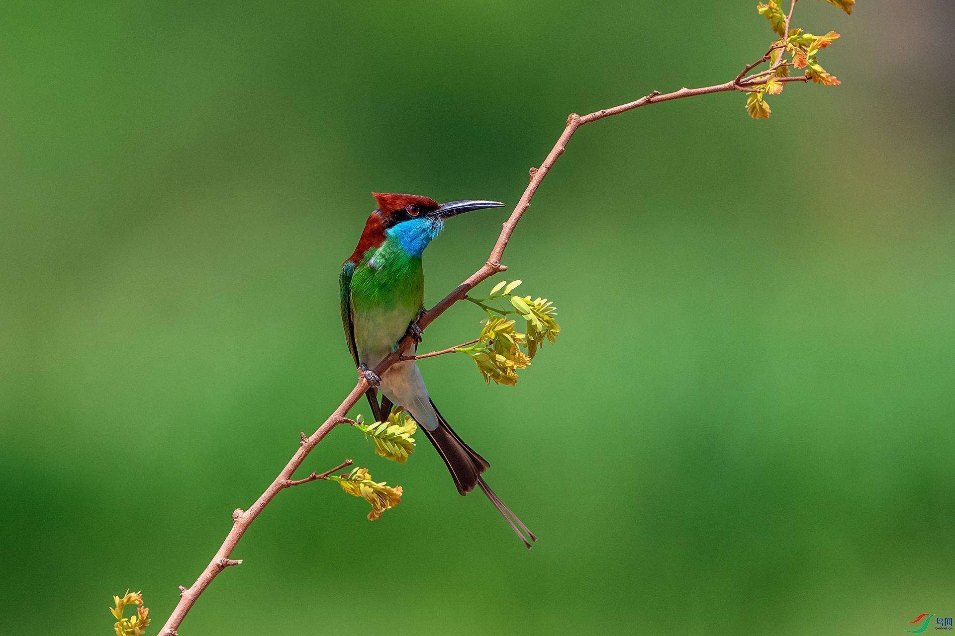 _AUU5021���(24.5.14).jpg