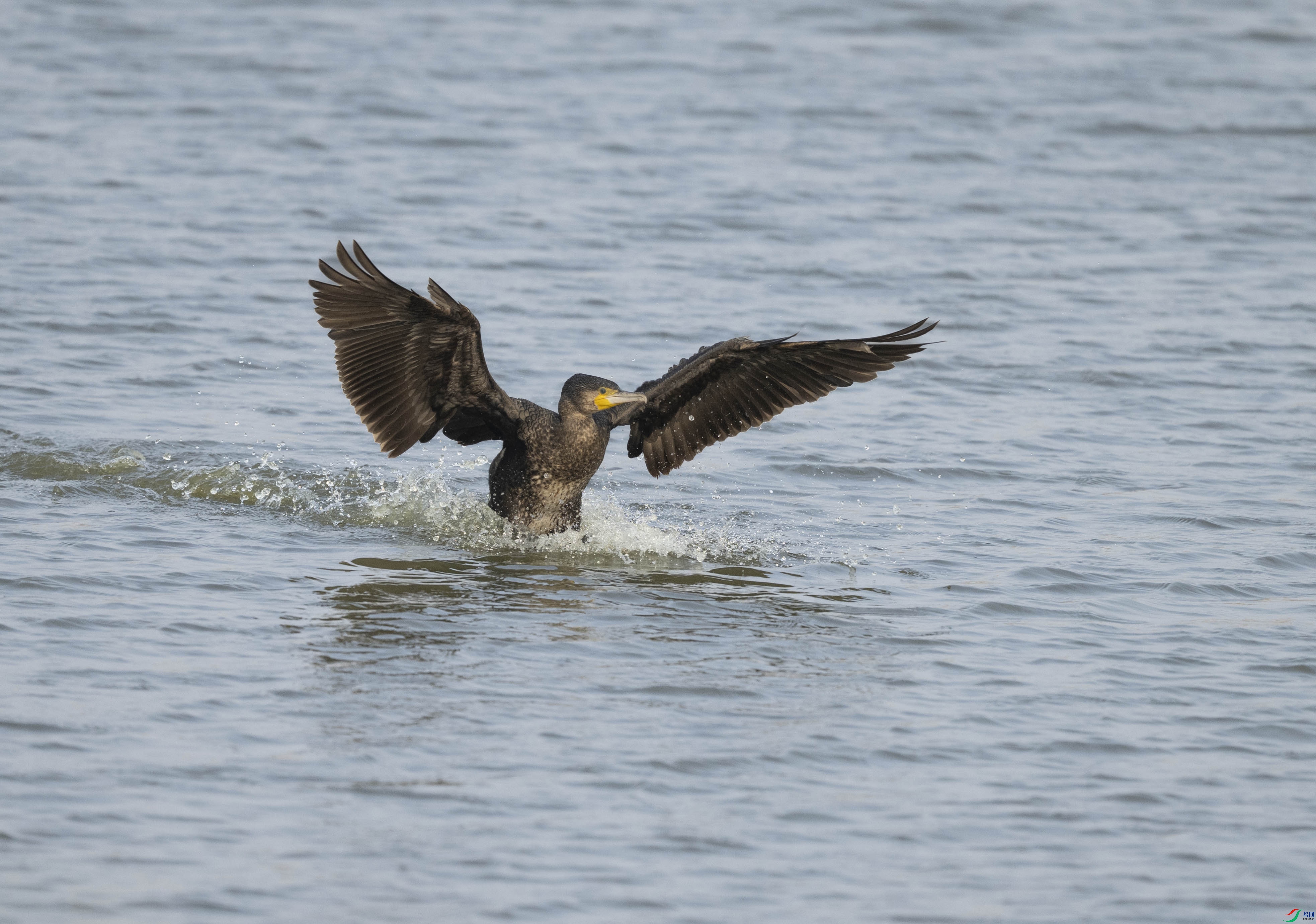 DSC_1286.jpg