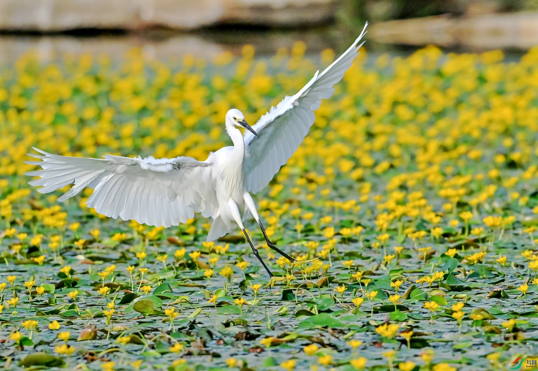 DSC_7216չ�Ứ��.jpg