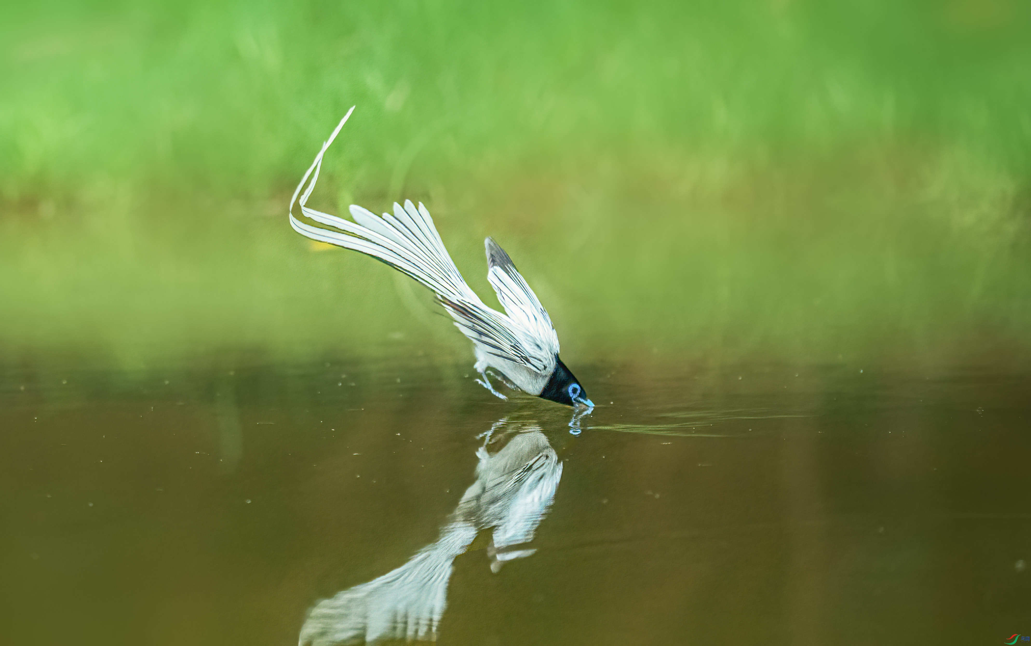DSC07715-��.jpg