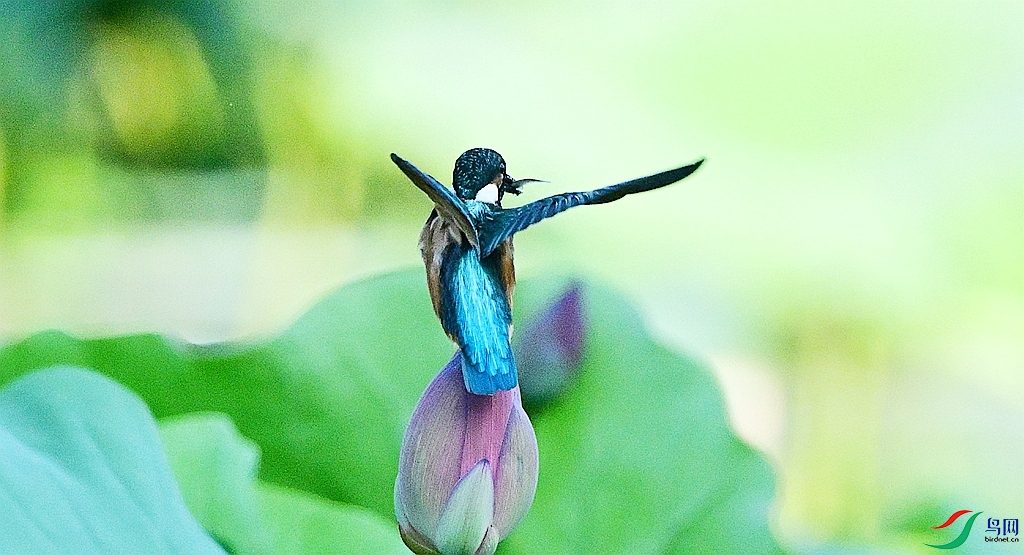 DSC_7504.JPG