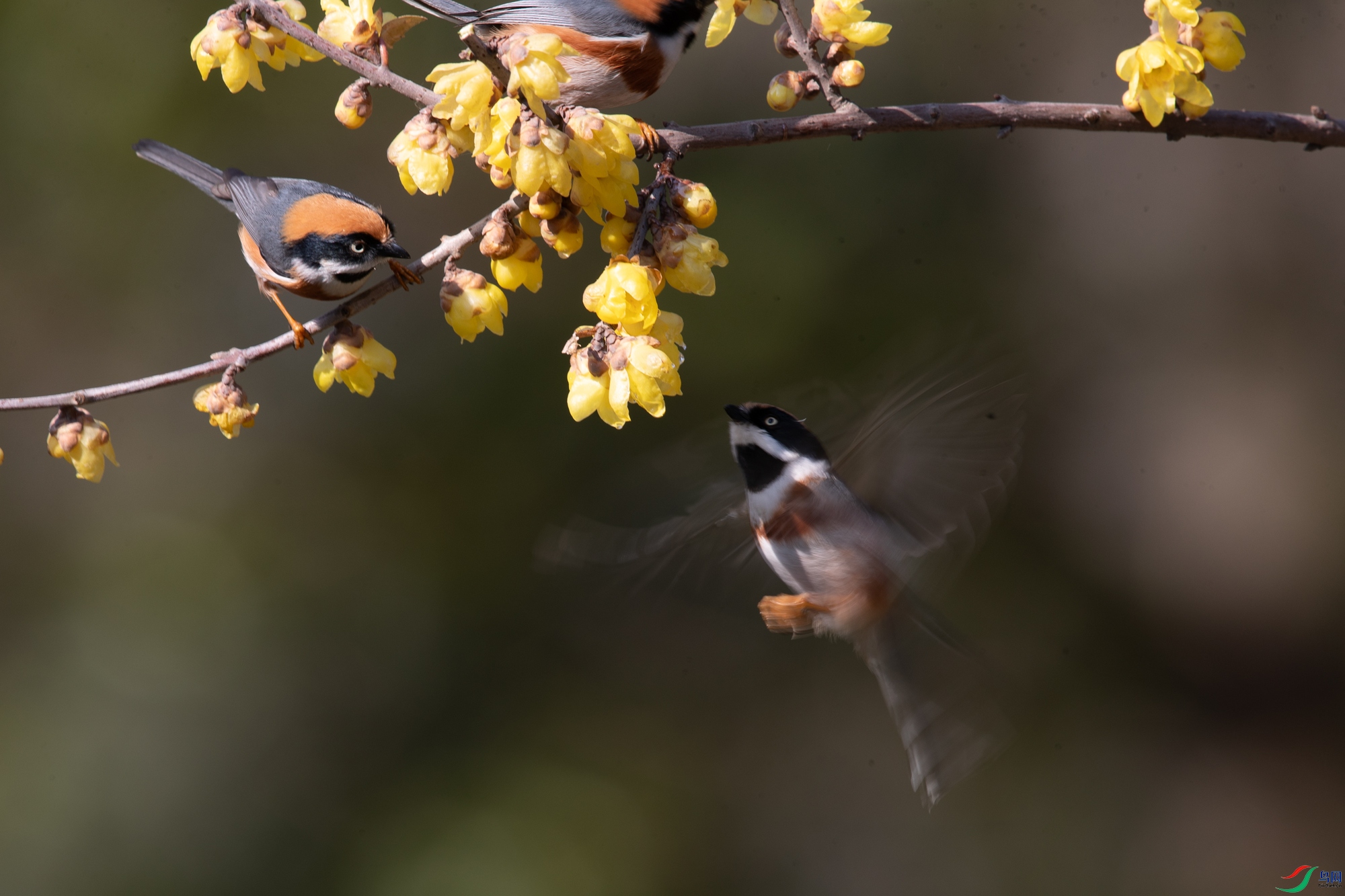 22.jpg
