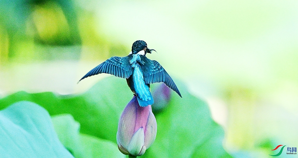 DSC_7507.JPG