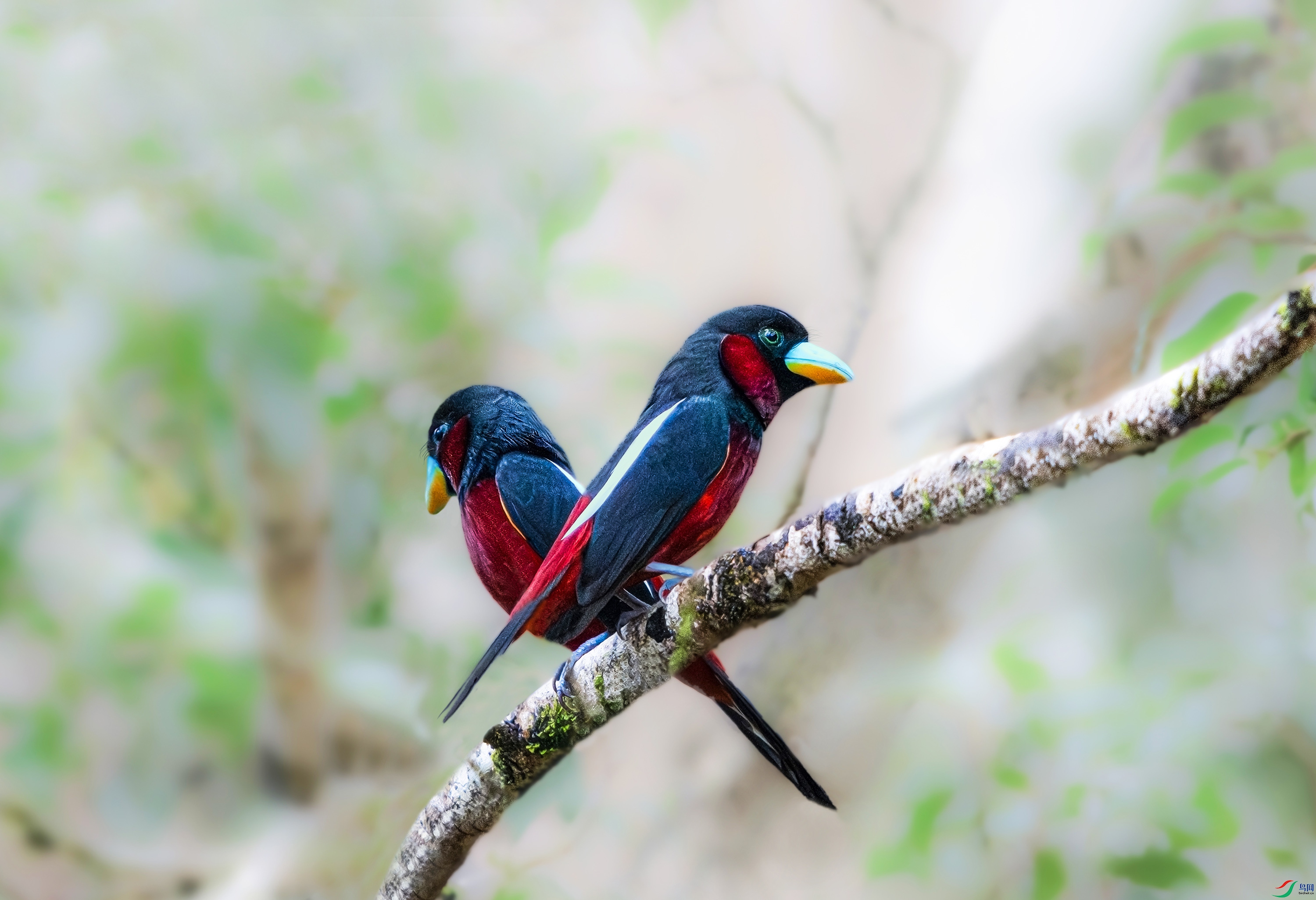 DSC_7500.jpg