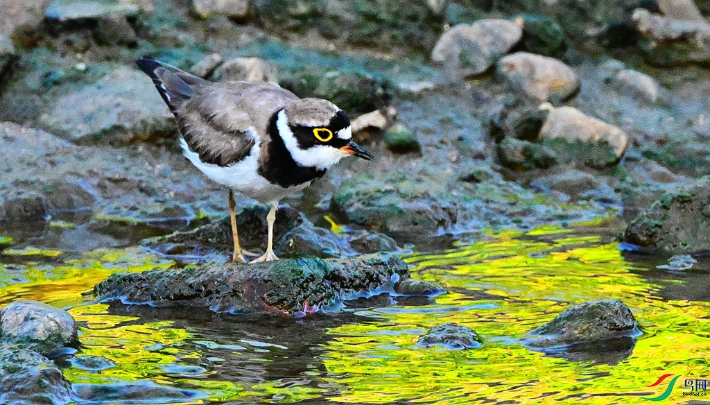 DSC_6981.JPG