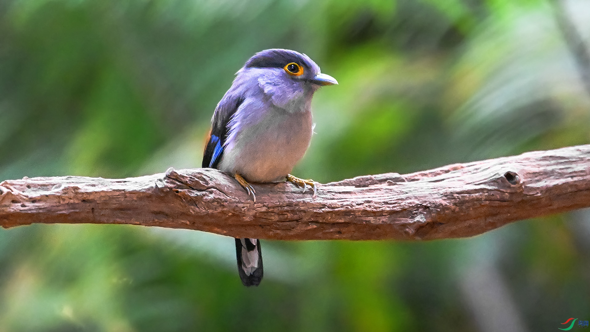 DSC_7482.jpg