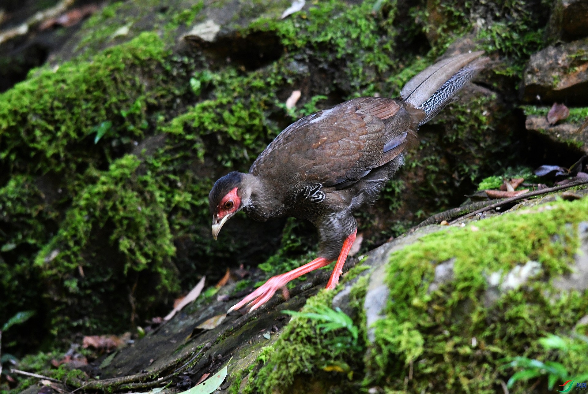 DSC_2607.jpg