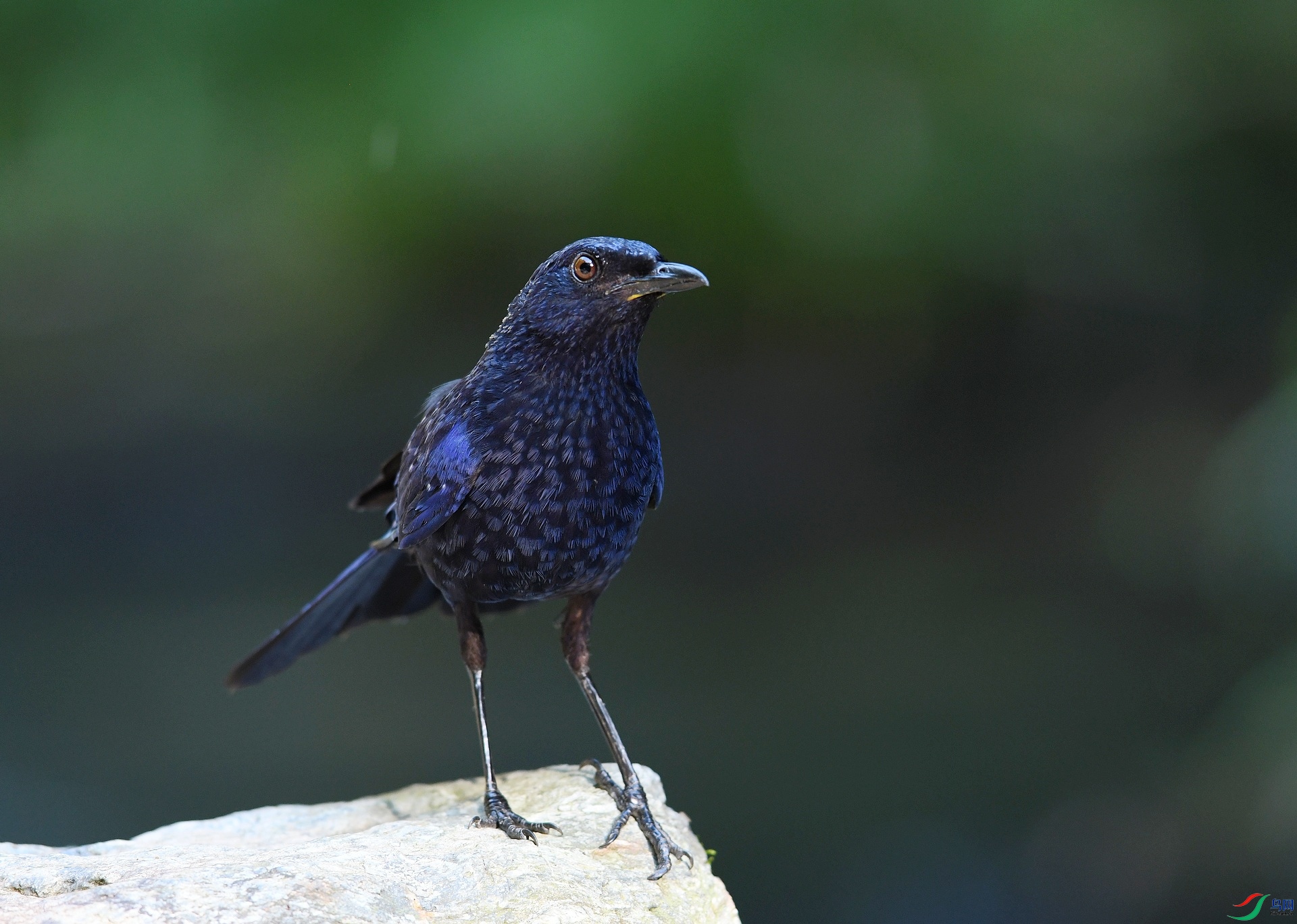 DSC_2593.jpg