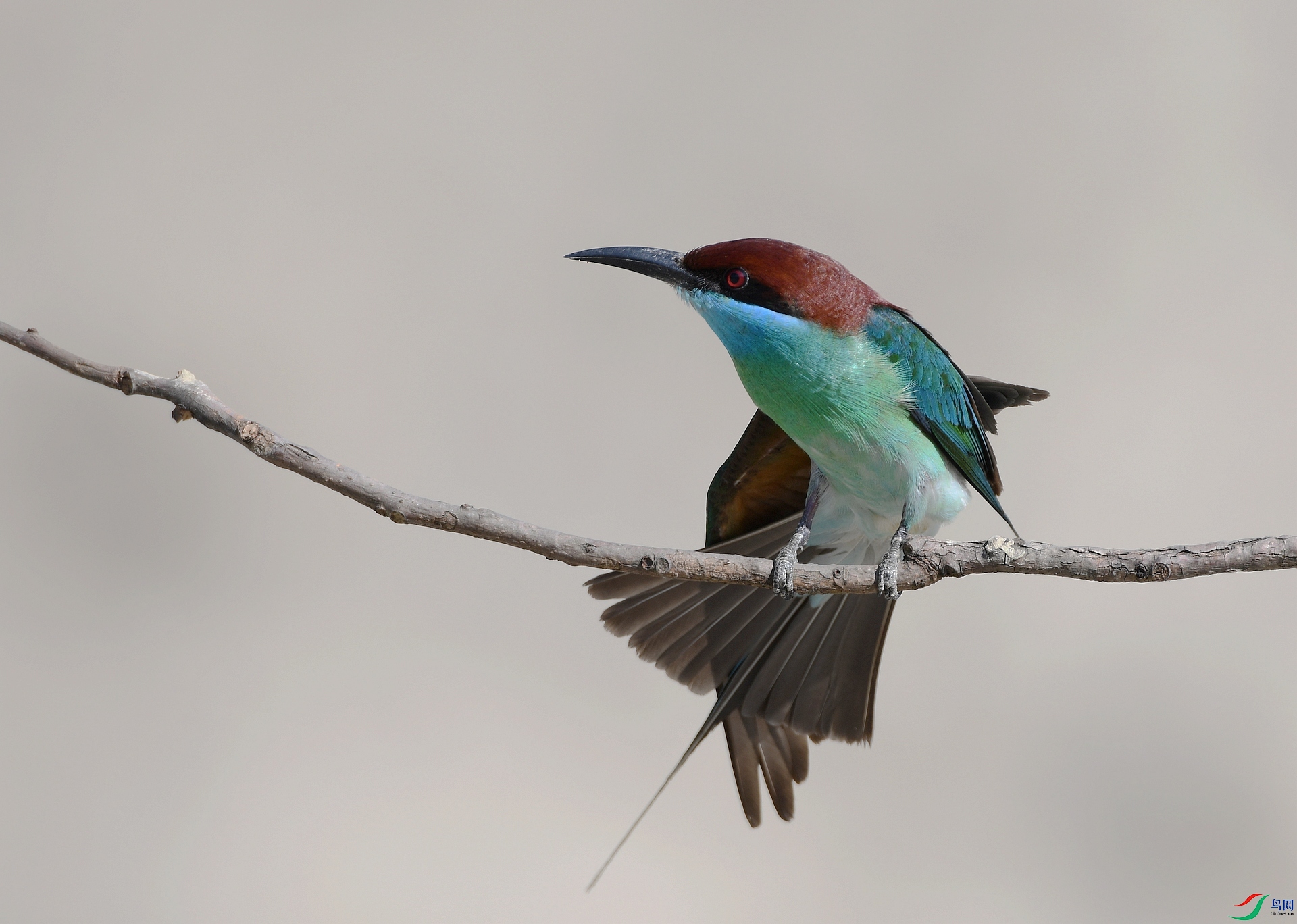 DSC_0689.jpg