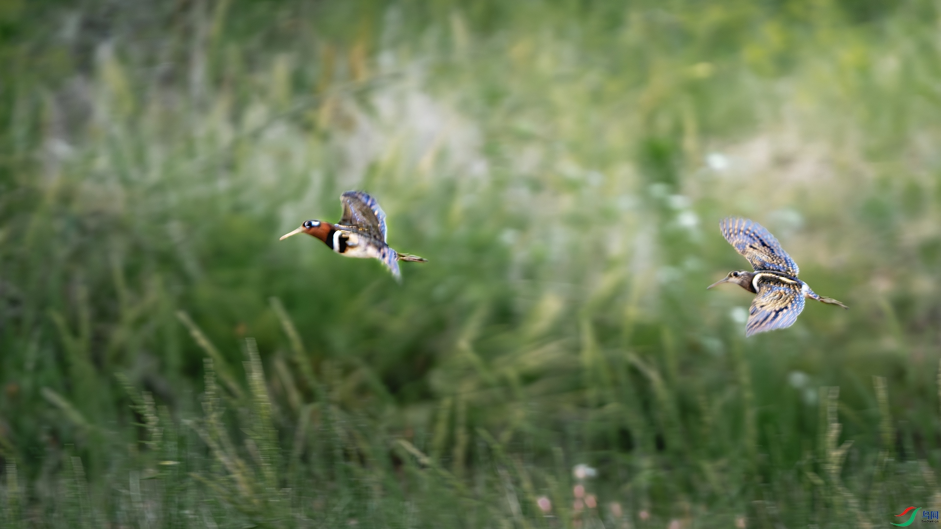 DSC_0844-����ǿ-NR-1 ����.jpg