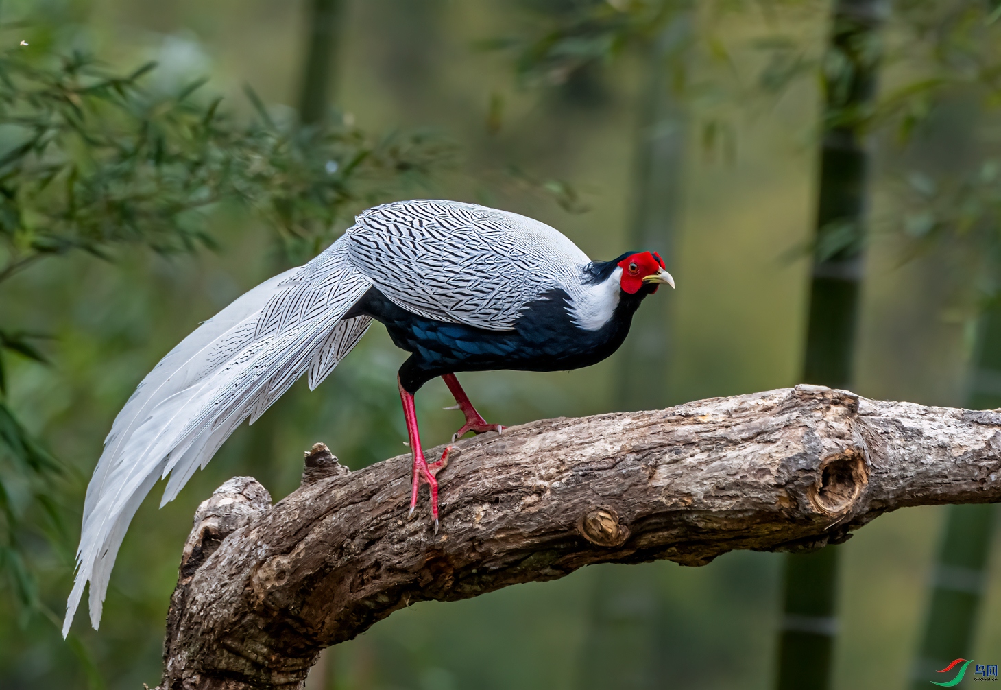 DSC_3098-11.jpg