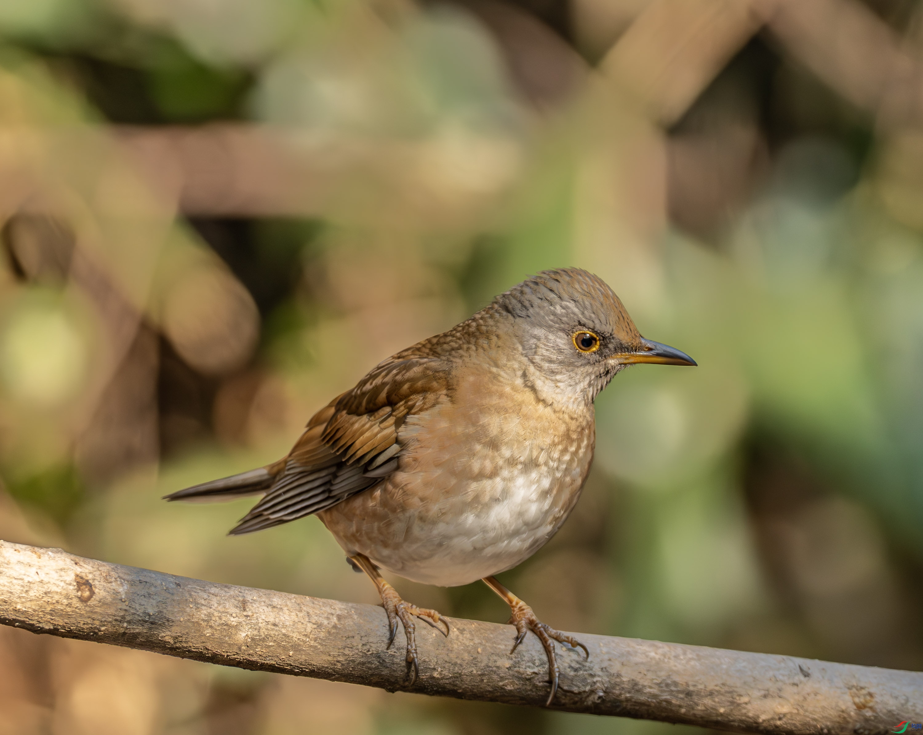 �׸��-03-7.jpg