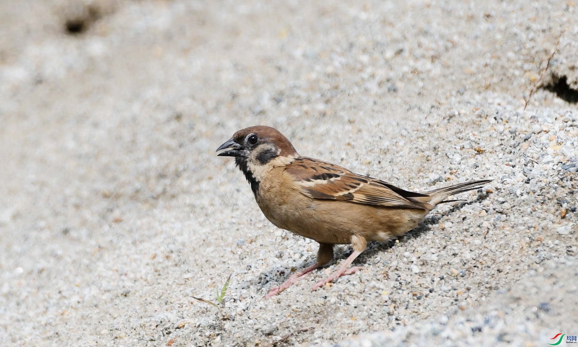 DSC_1907.jpg